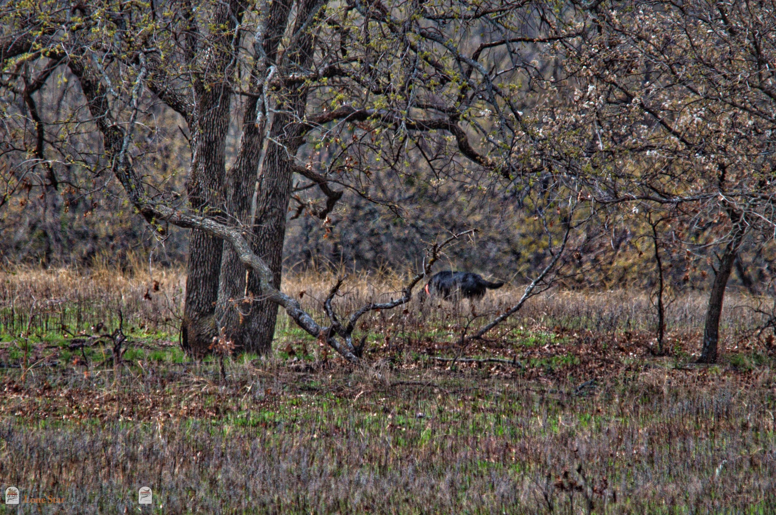 DSC_0780_V.jpg