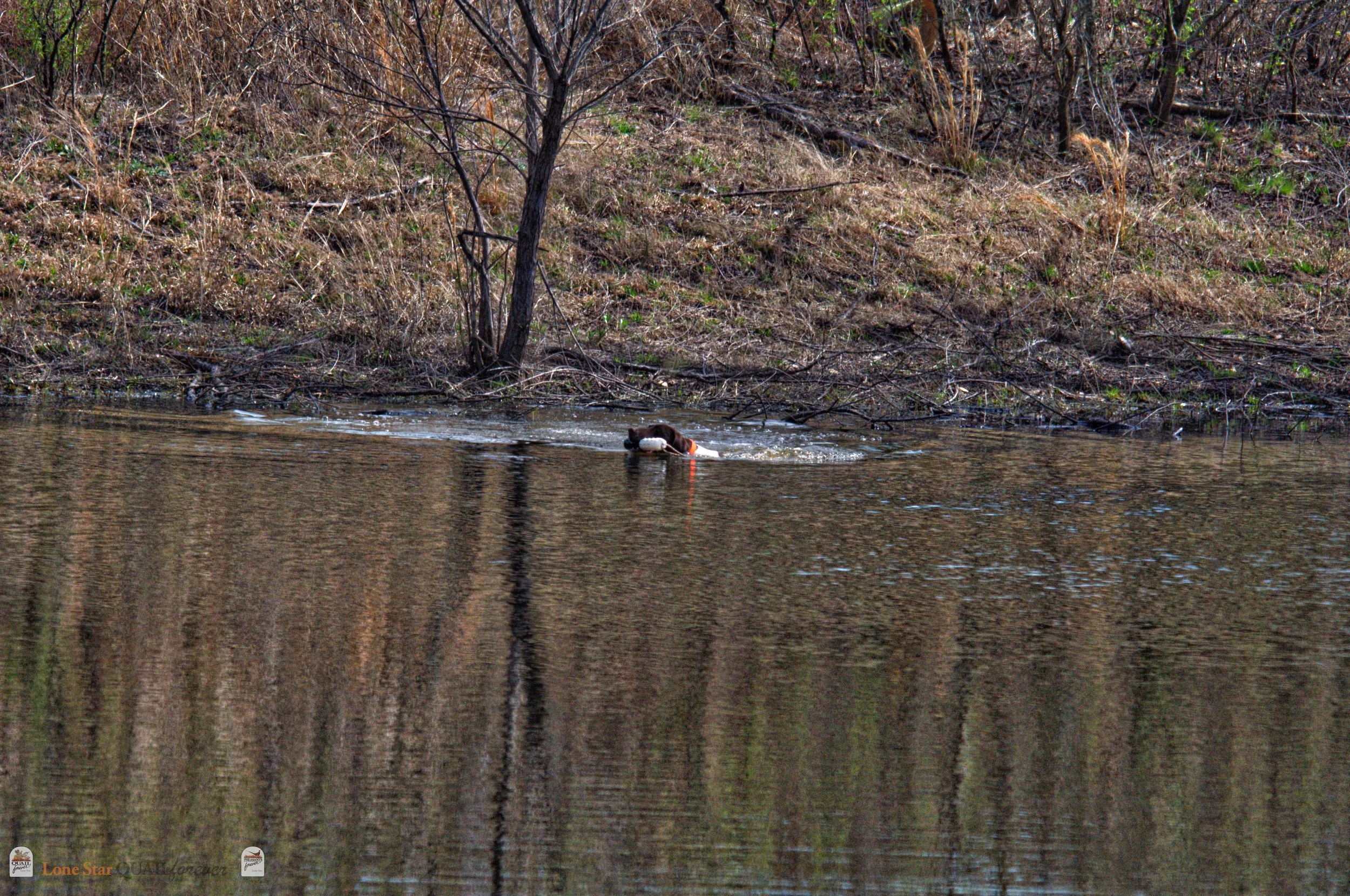 DSC_0787_V.jpg