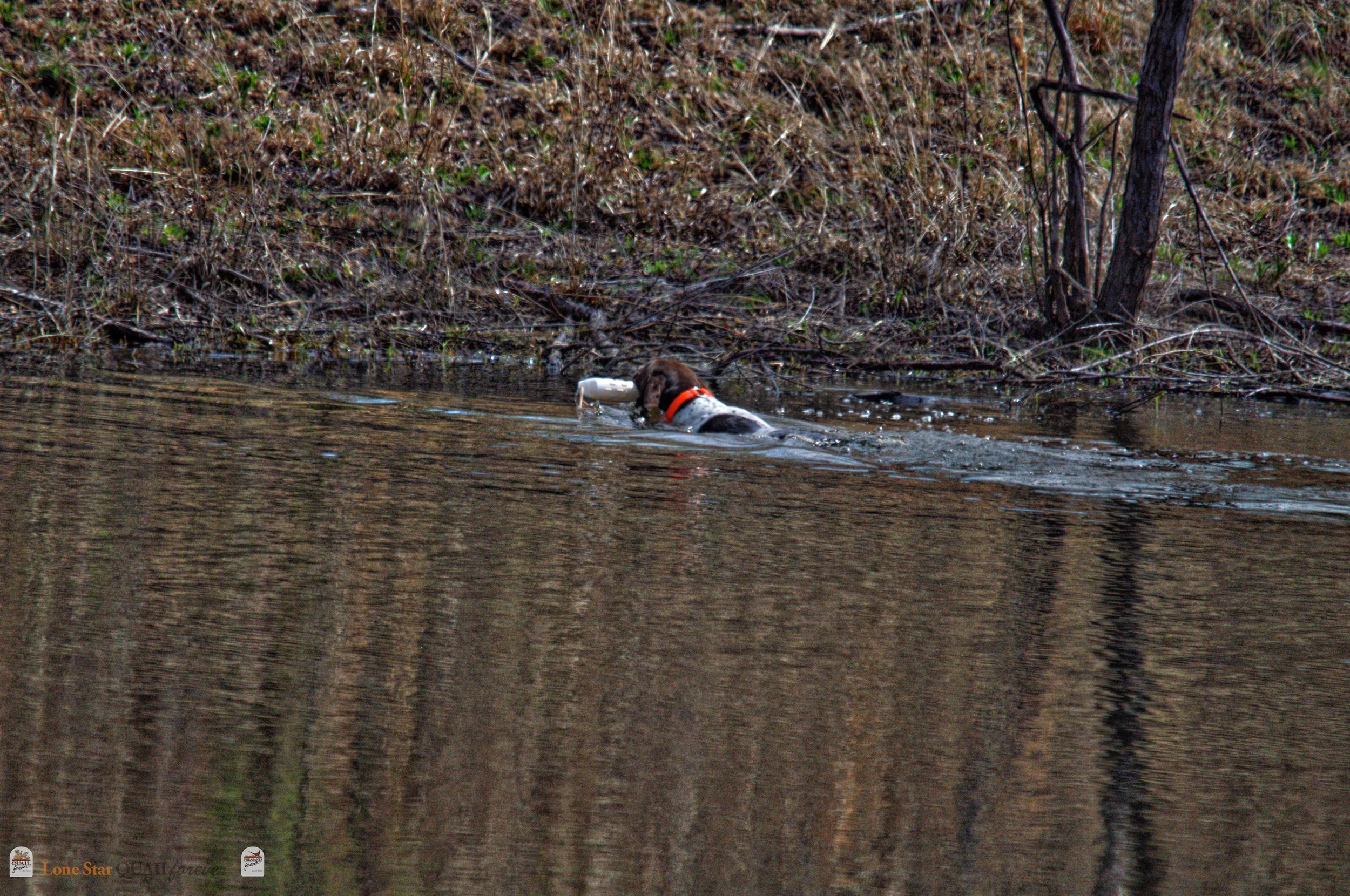 DSC_0789_V.jpg