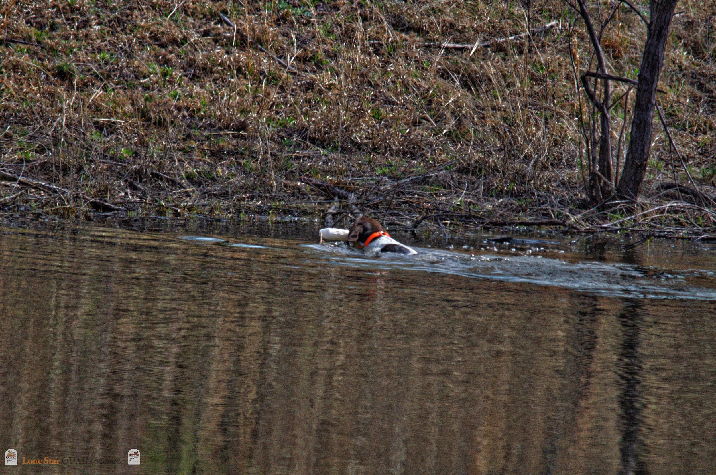 DSC_0790_V.jpg