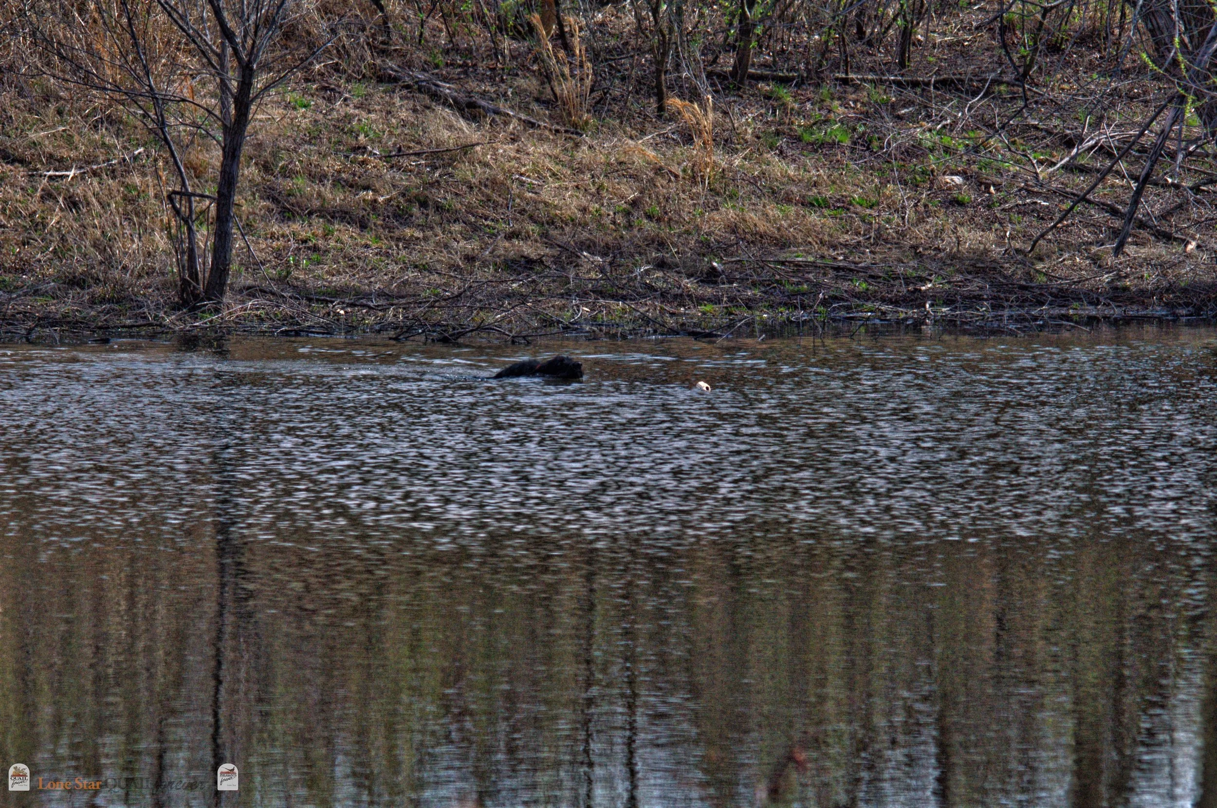DSC_0799_V.jpg