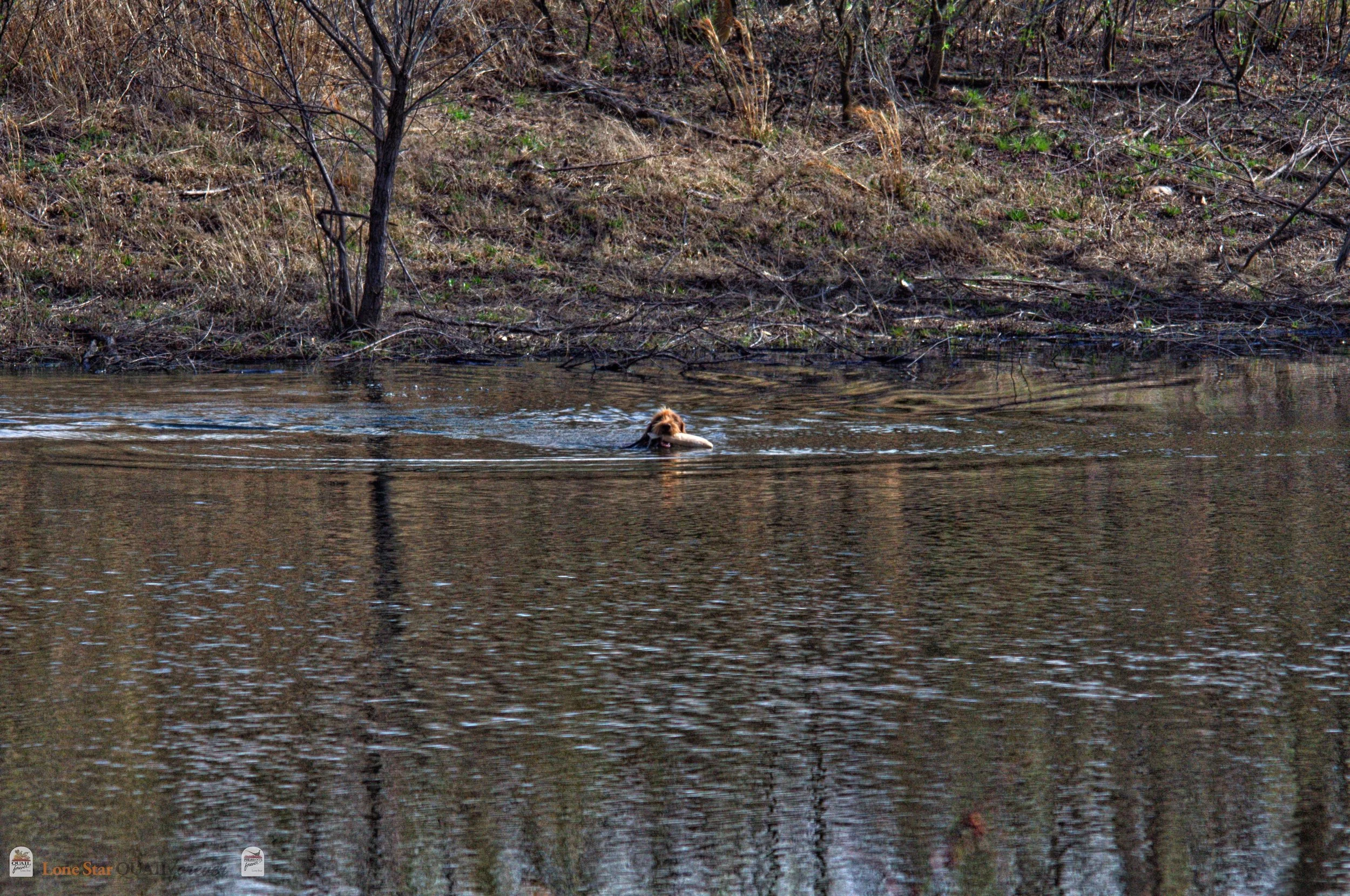 DSC_0844_V.jpg