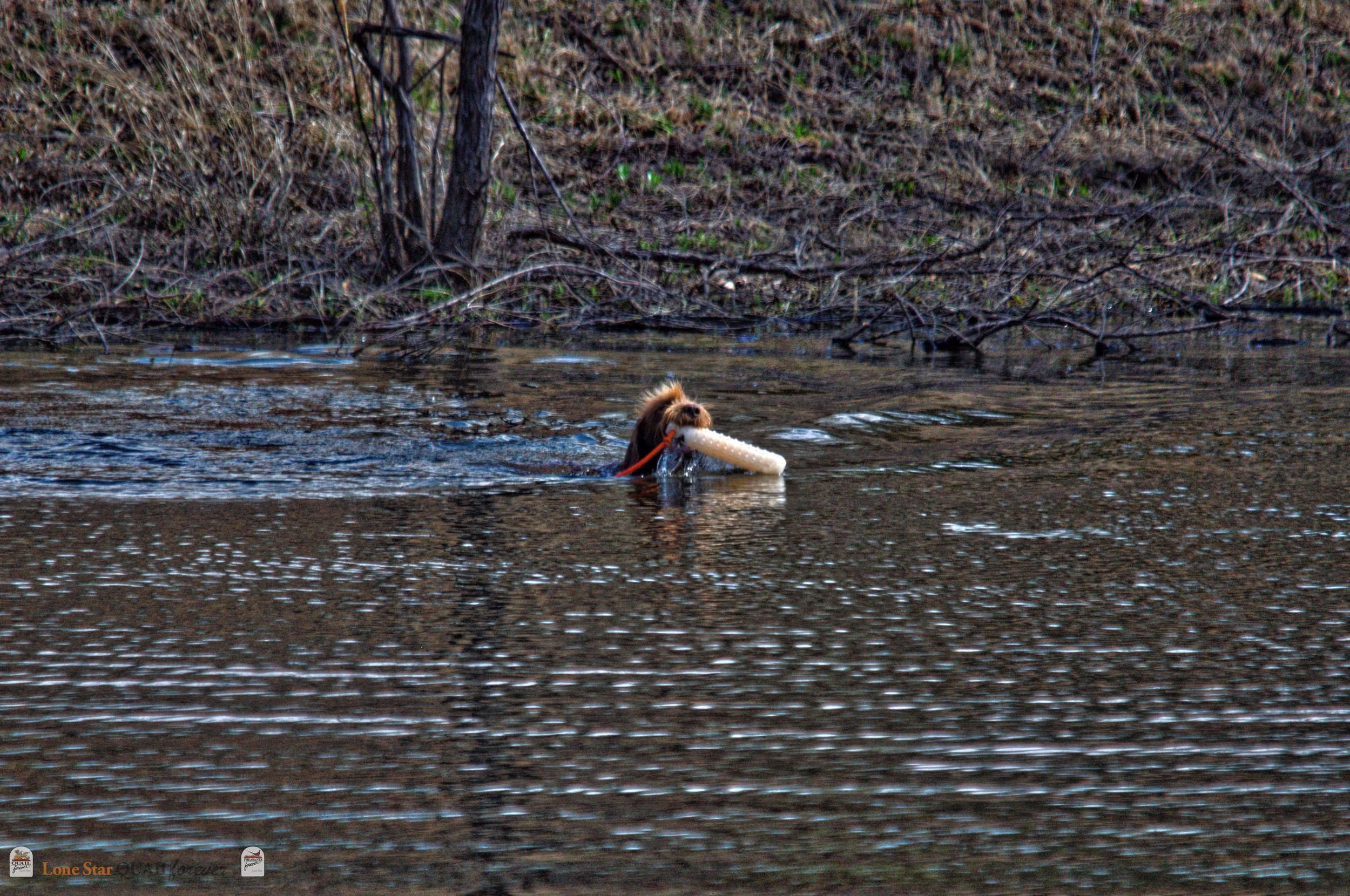 DSC_0848_V.jpg