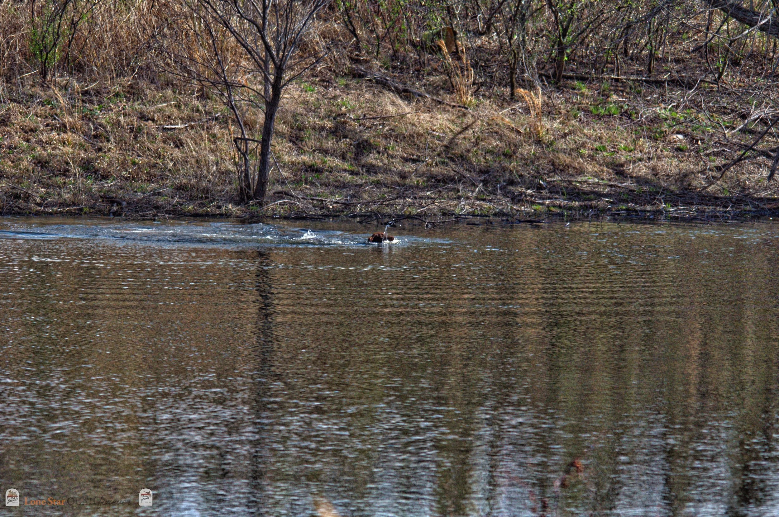 DSC_0858_V.jpg