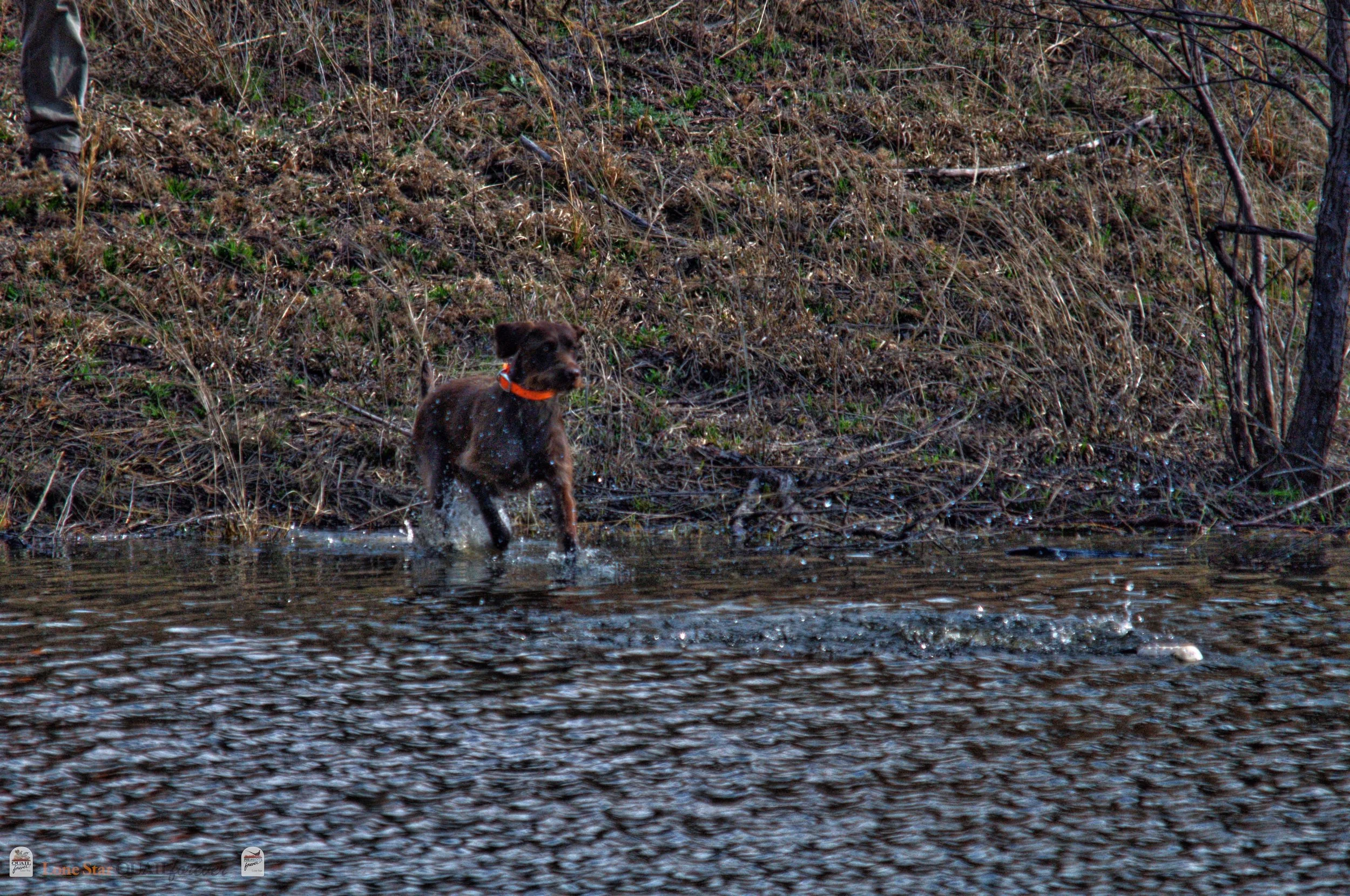 DSC_0897_V.jpg