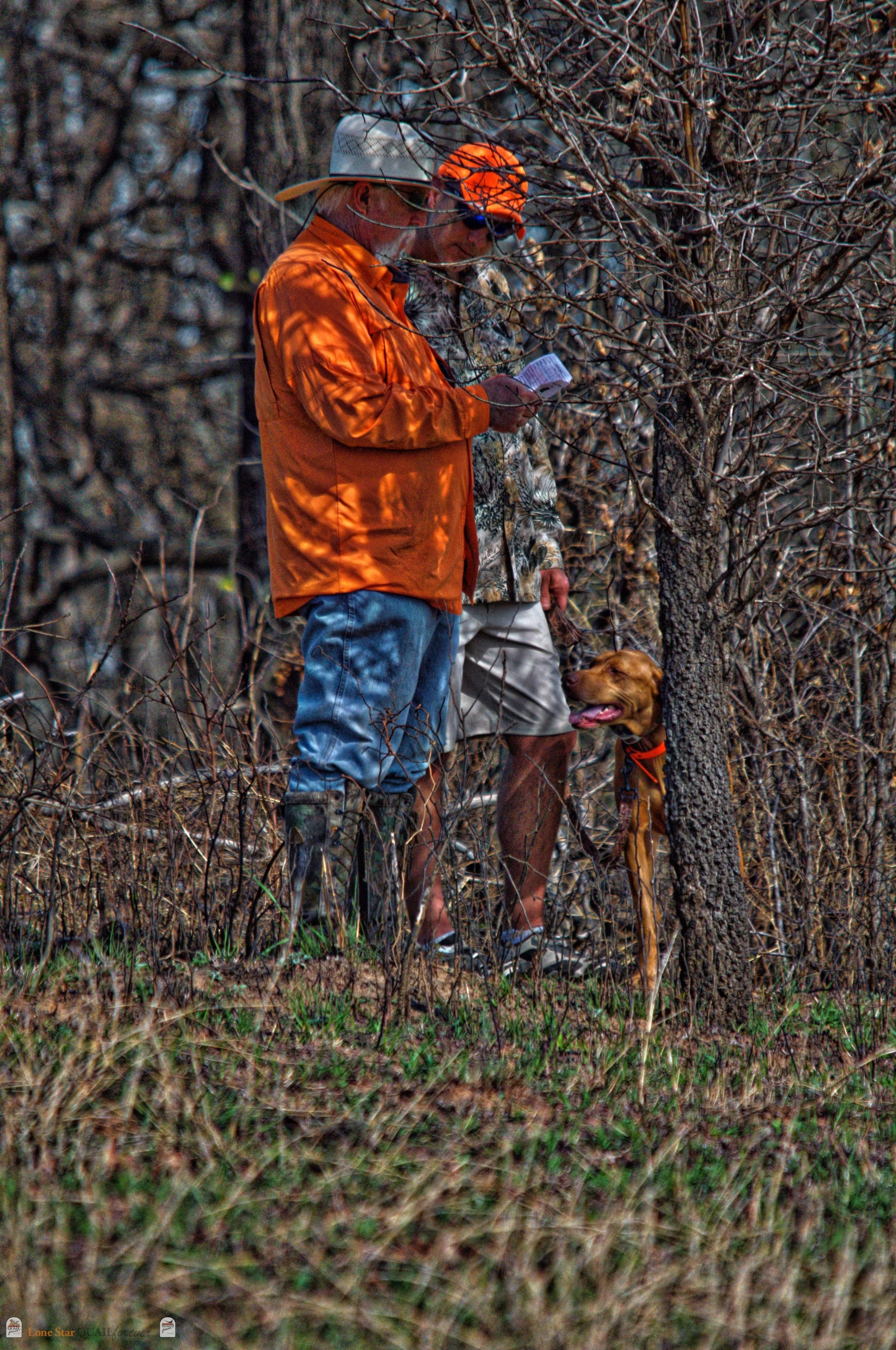 DSC_0909_V.jpg