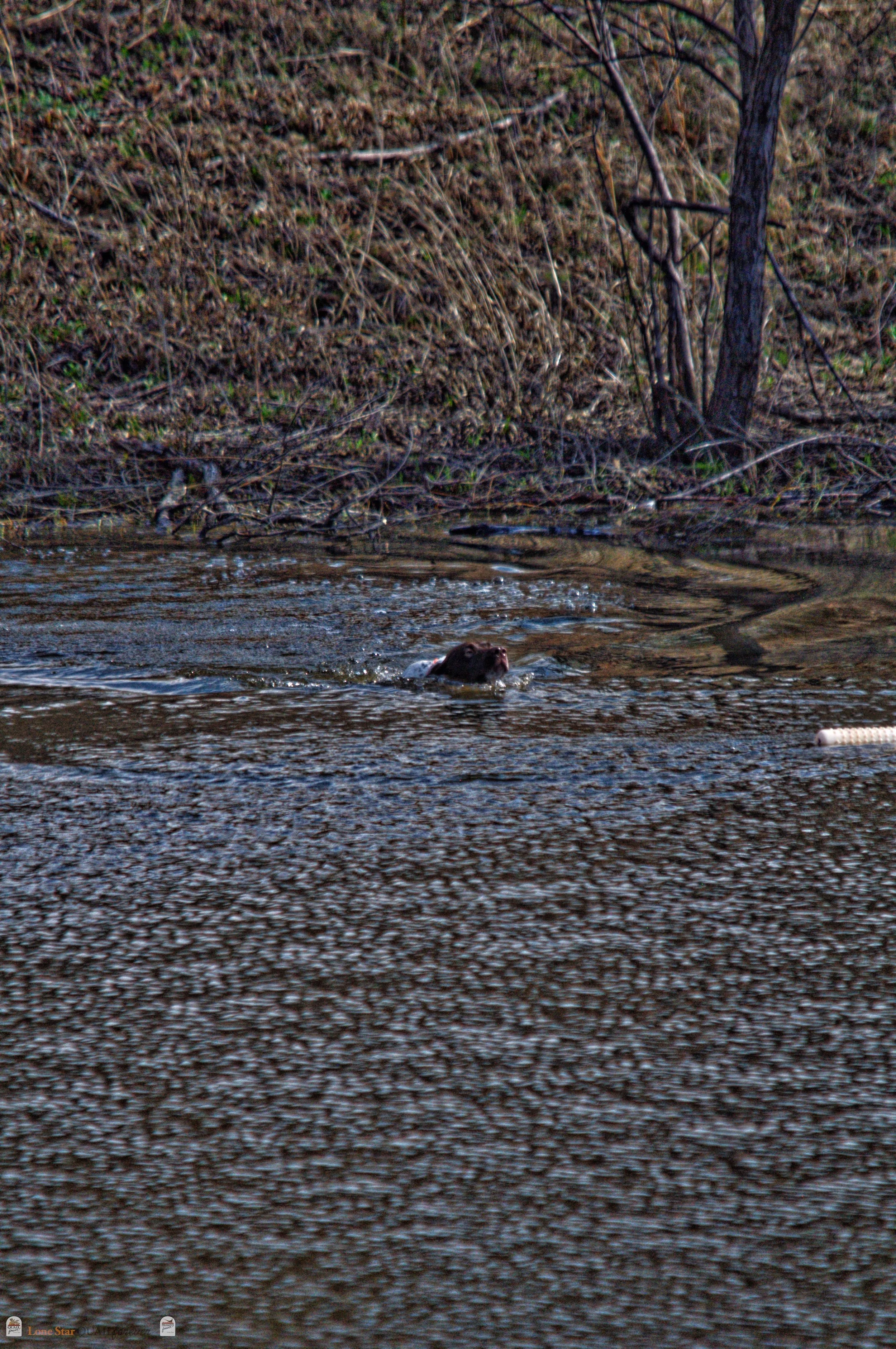 DSC_0915_V.jpg