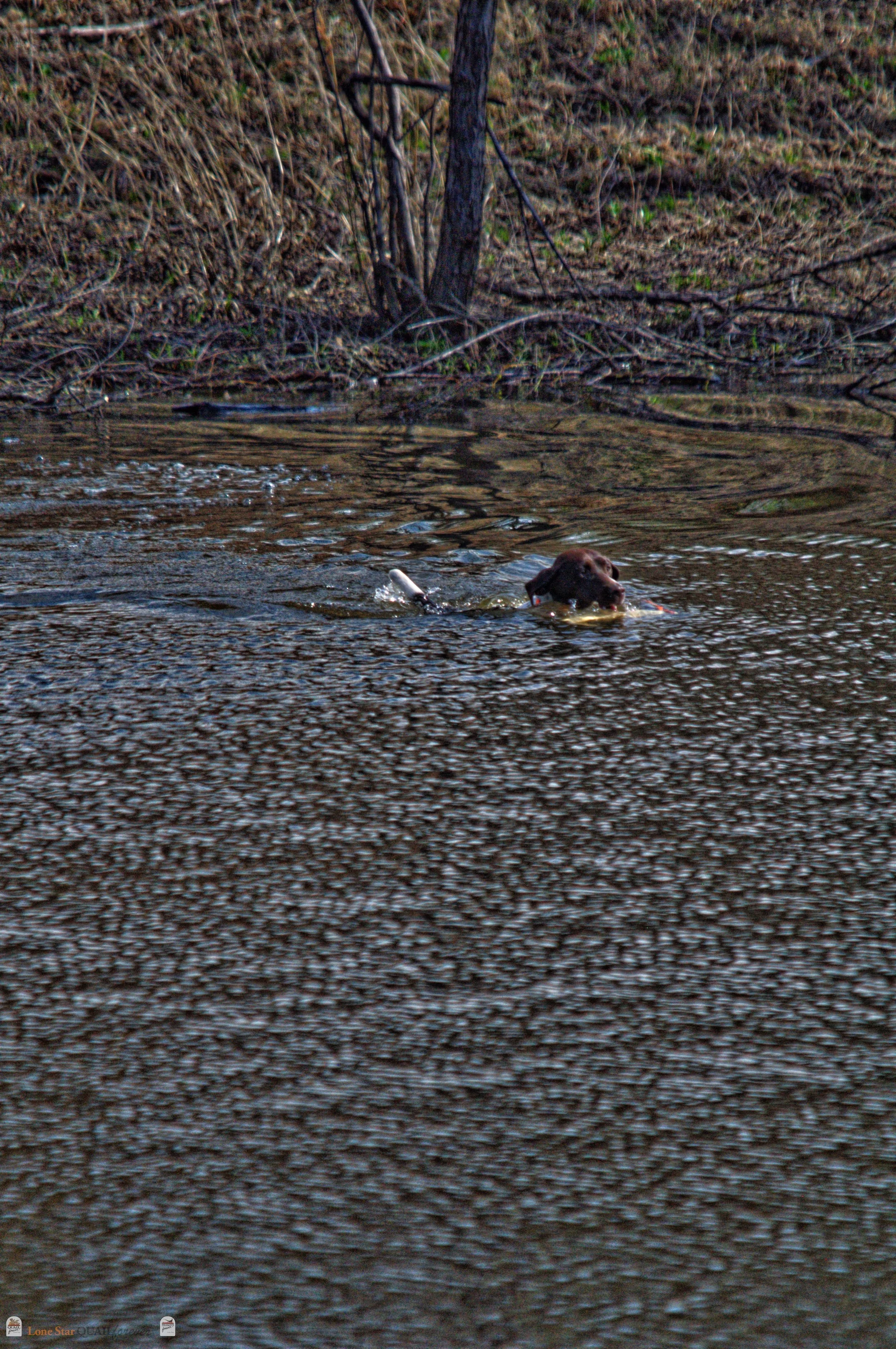 DSC_0916_V.jpg