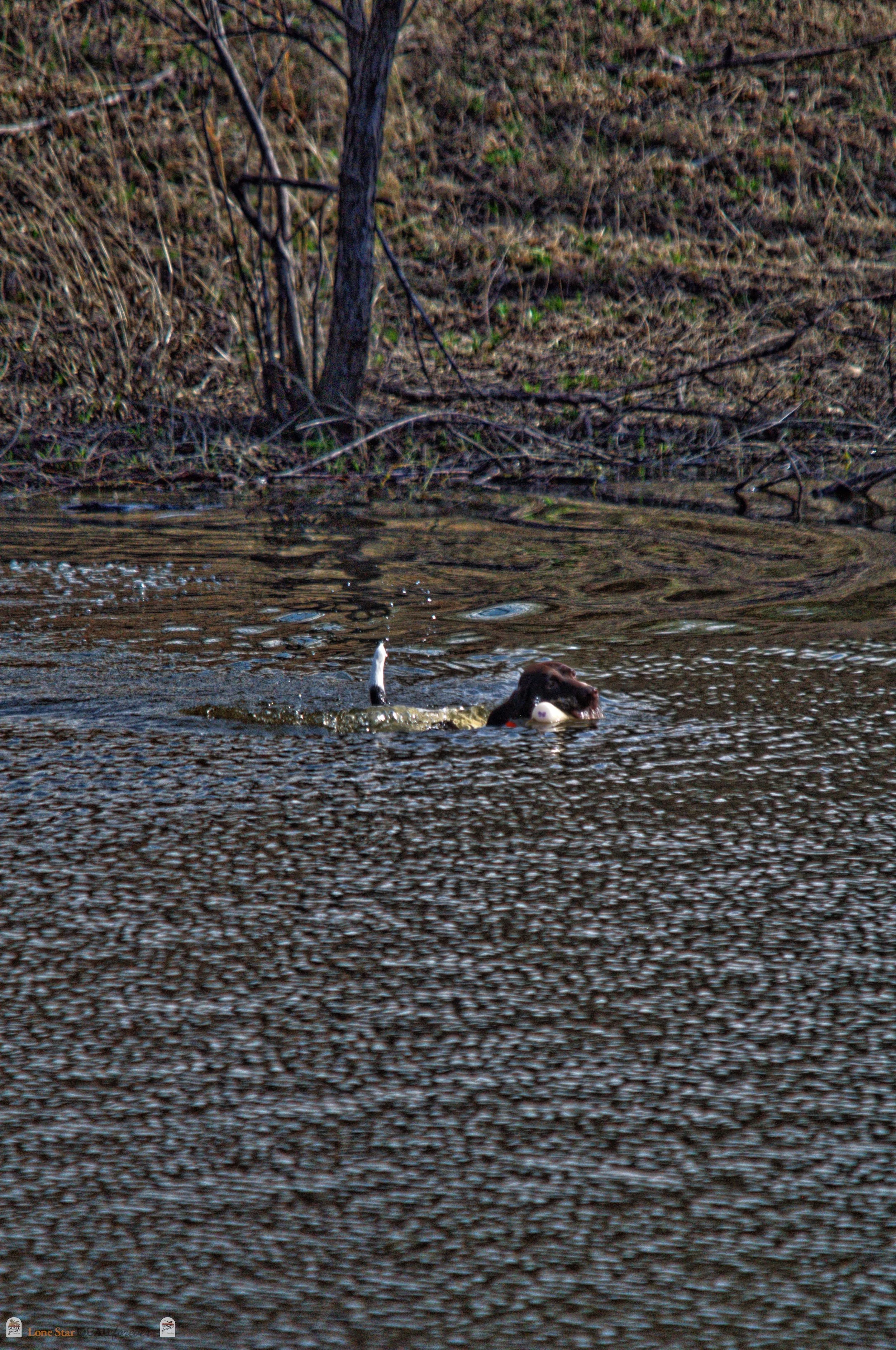 DSC_0918_V.jpg