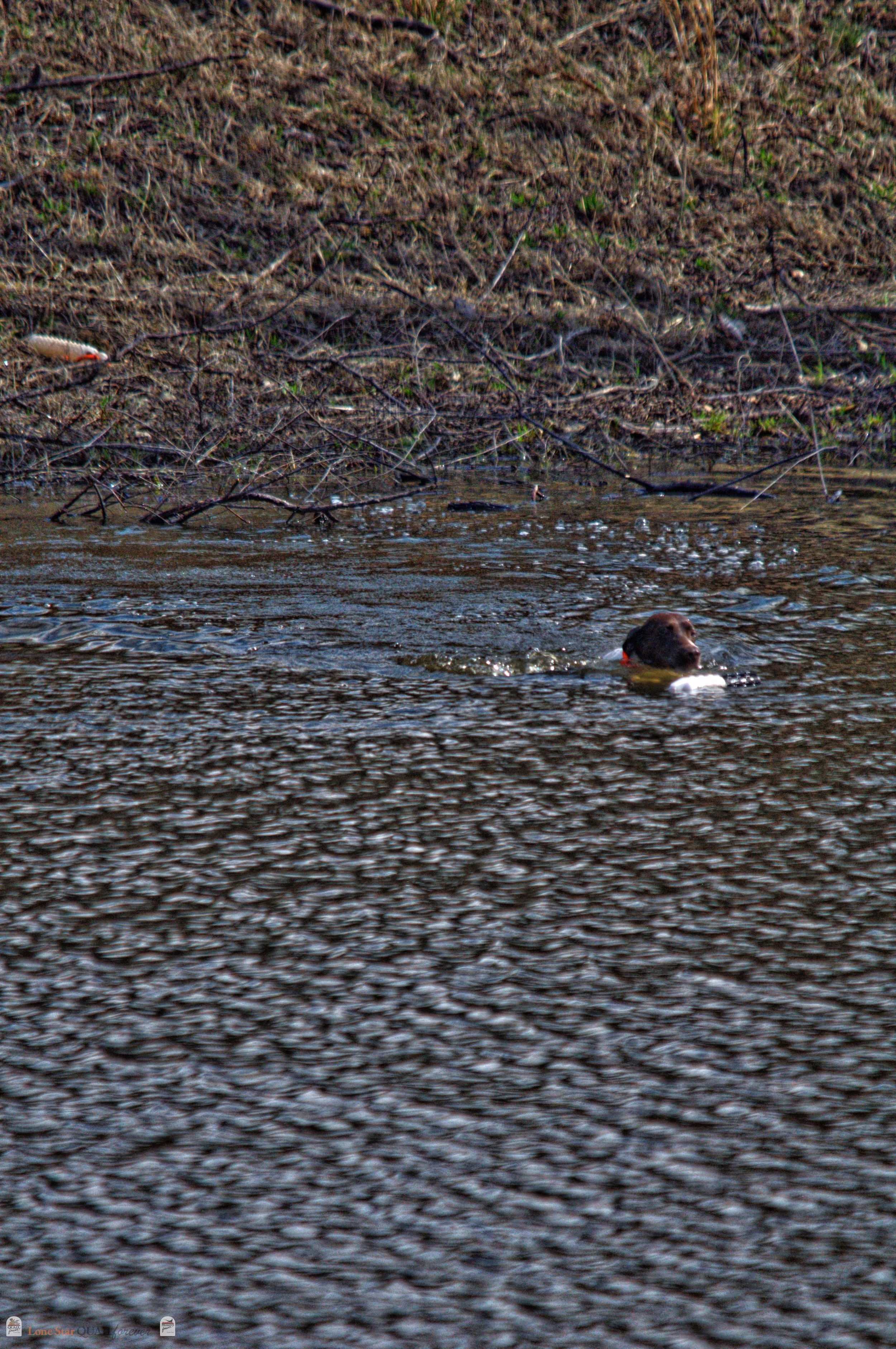 DSC_0924_V.jpg