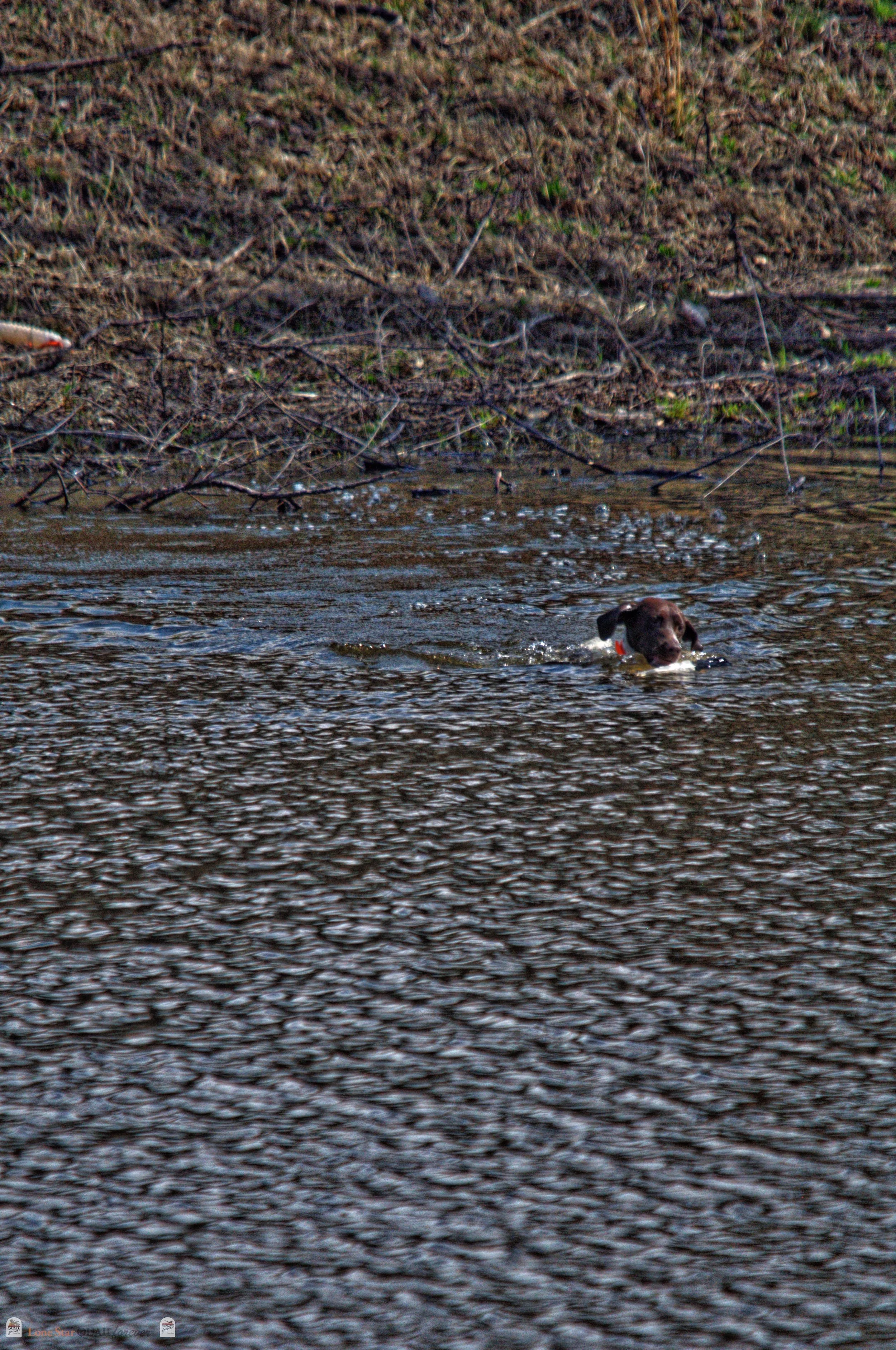 DSC_0925_V.jpg
