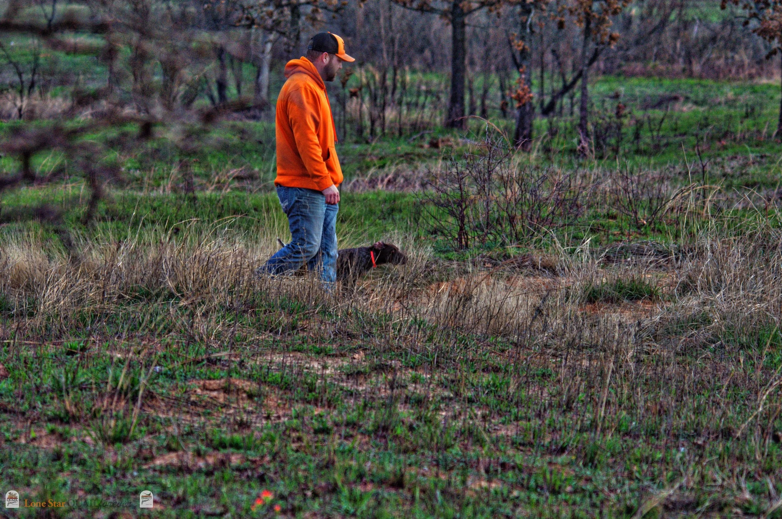 DSC_0948_V.jpg