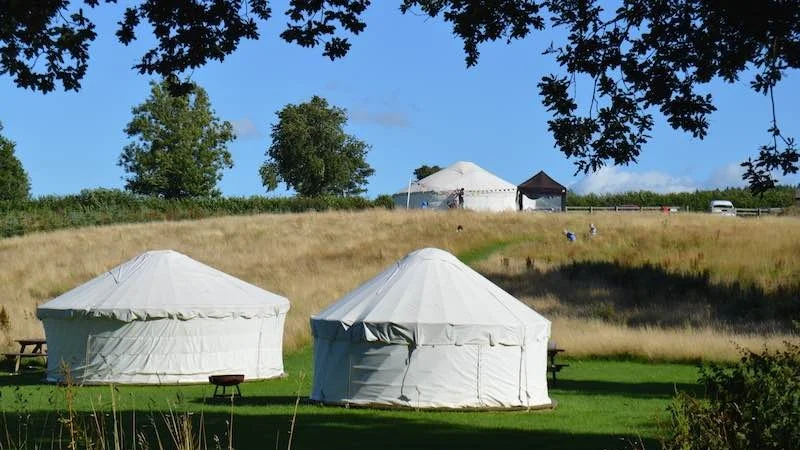 yurt.jpg