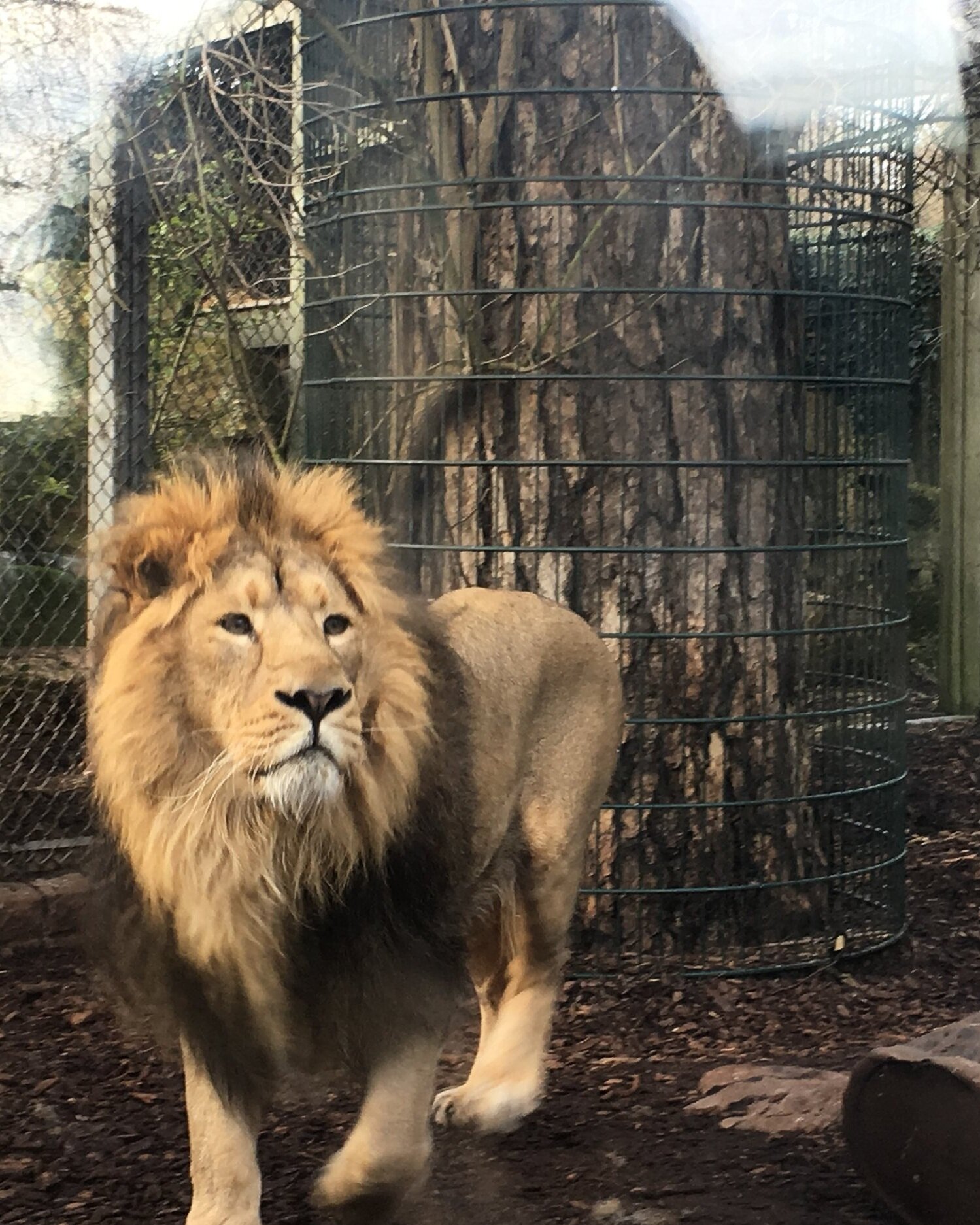 Bristol Zoo 