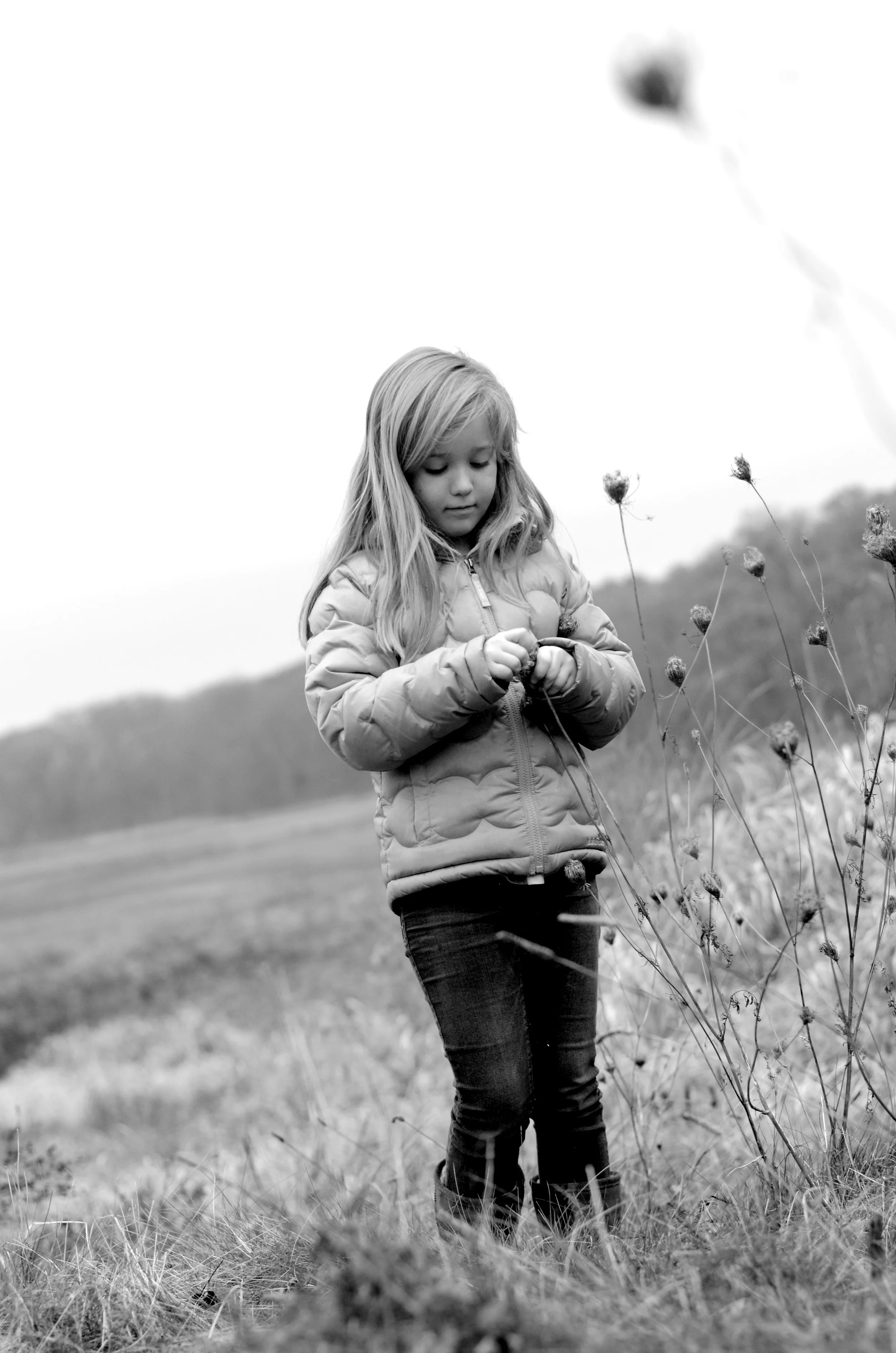 _DSC0557bw.jpg