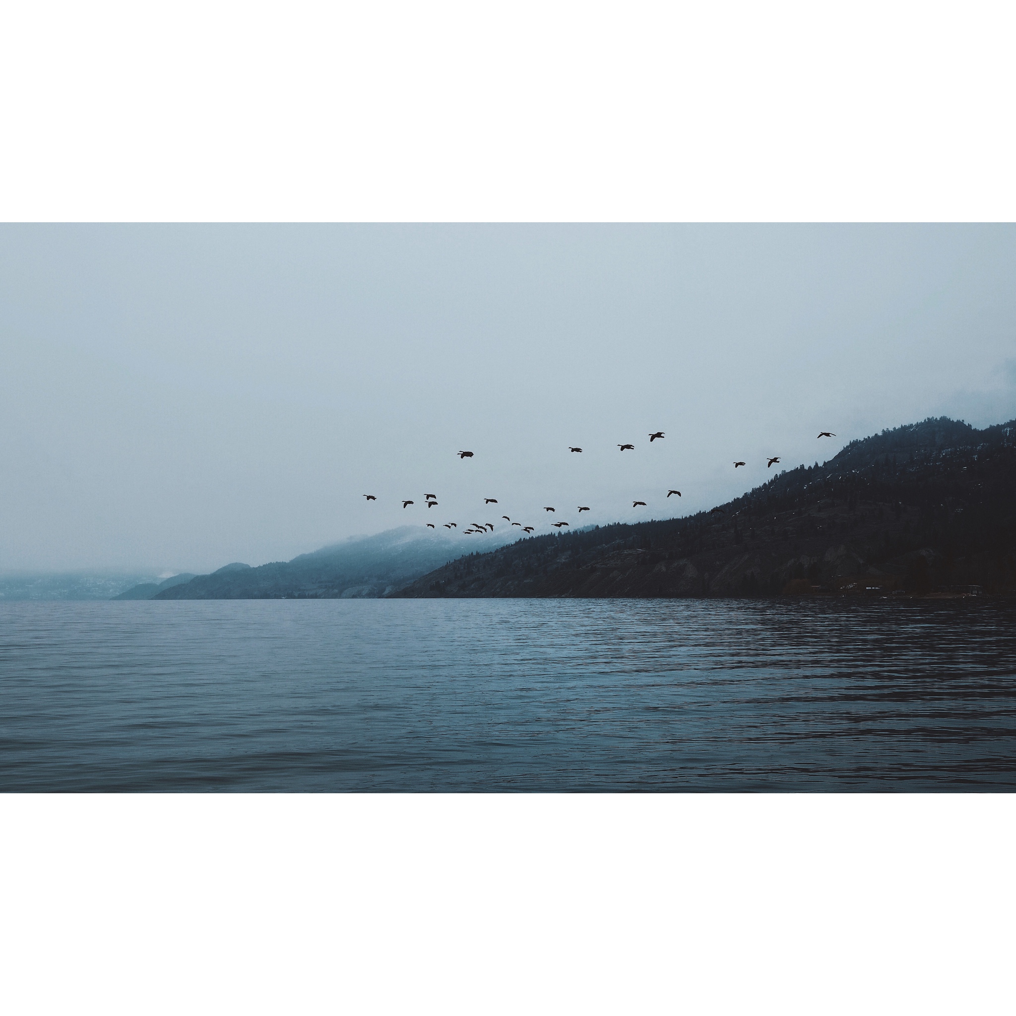 _albumtemp(20).JPG