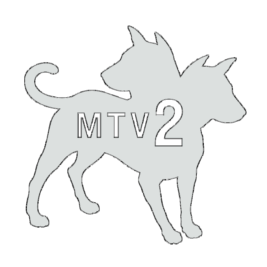 Mtv213.png