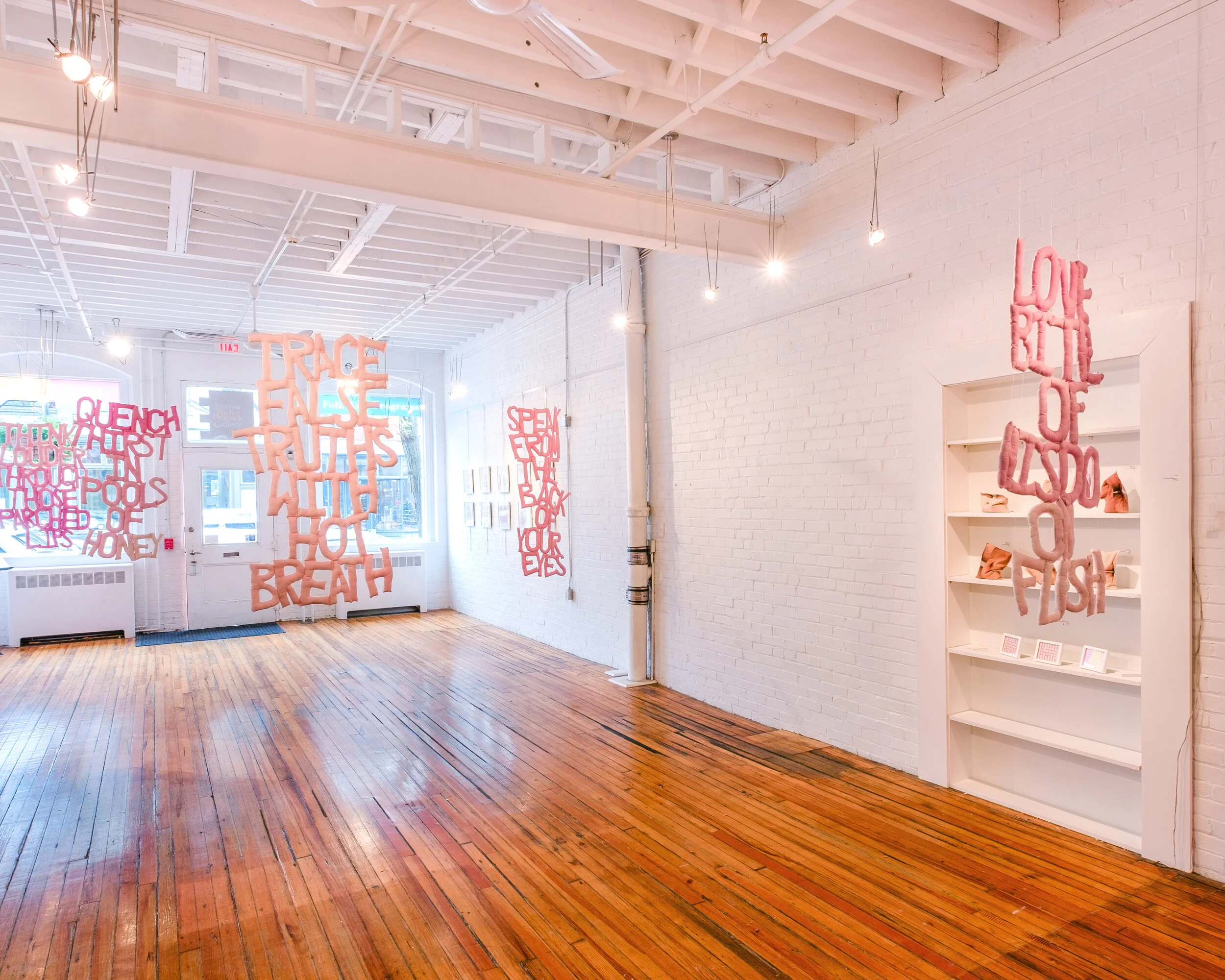 Anna_Warfield_installation.jpg