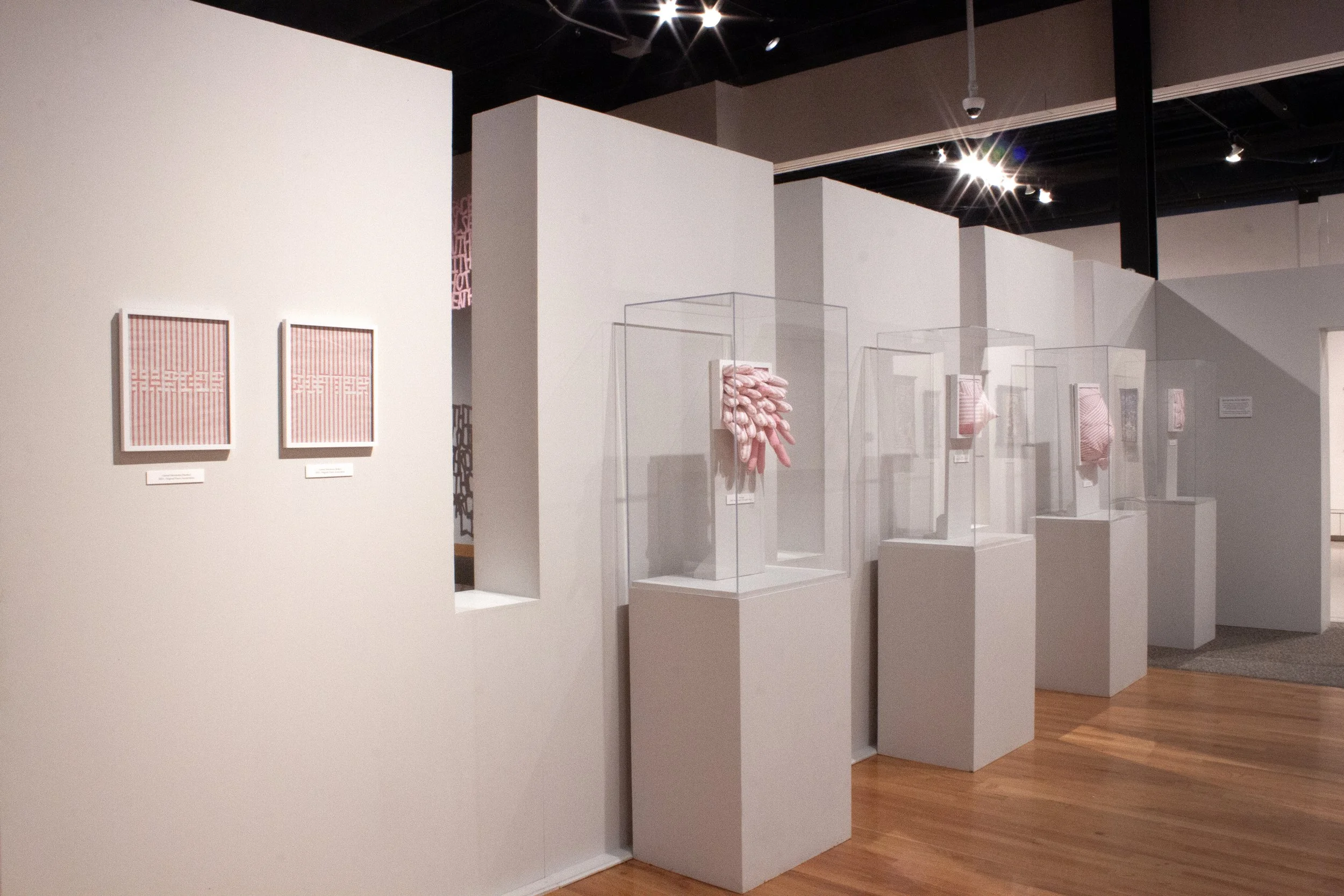 Placid Thoughts Install Images_Blobs.jpg