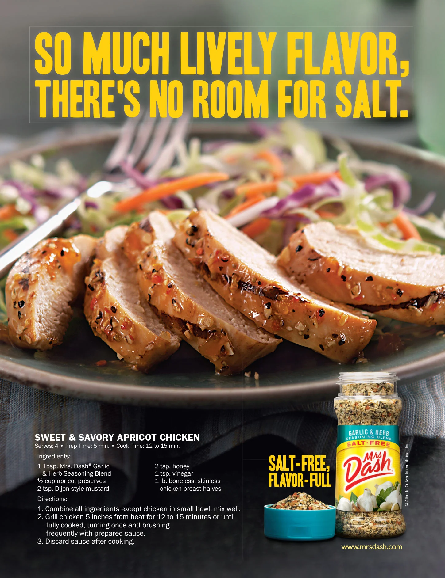 dash-print-ad-copy-6.jpg