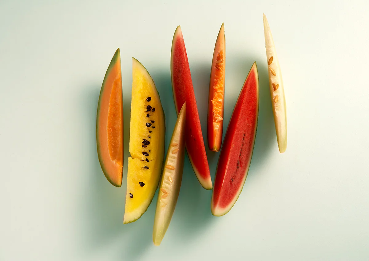thin-melon-copy.jpg