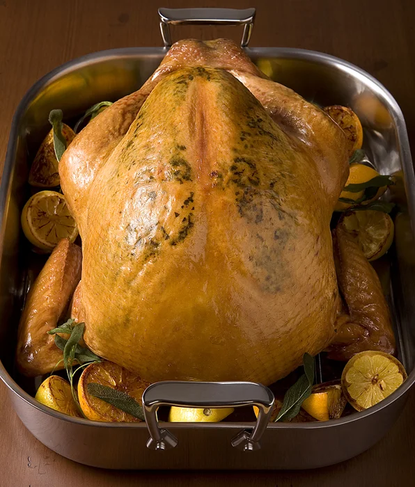 Citrus Basted Turkey_Final copy 2.jpg