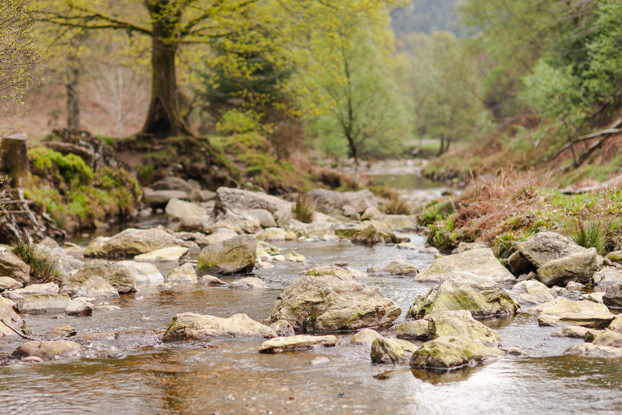Powerscourt Waterfall Enniskerry
