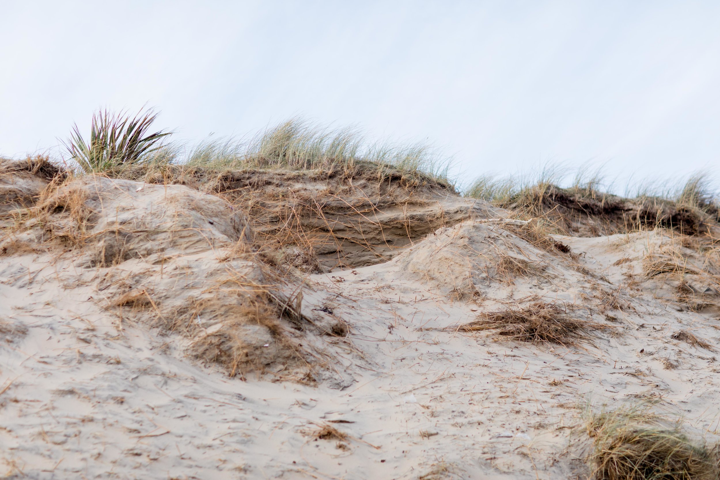 a sandy dune in wicklow brittas bay in ireland
