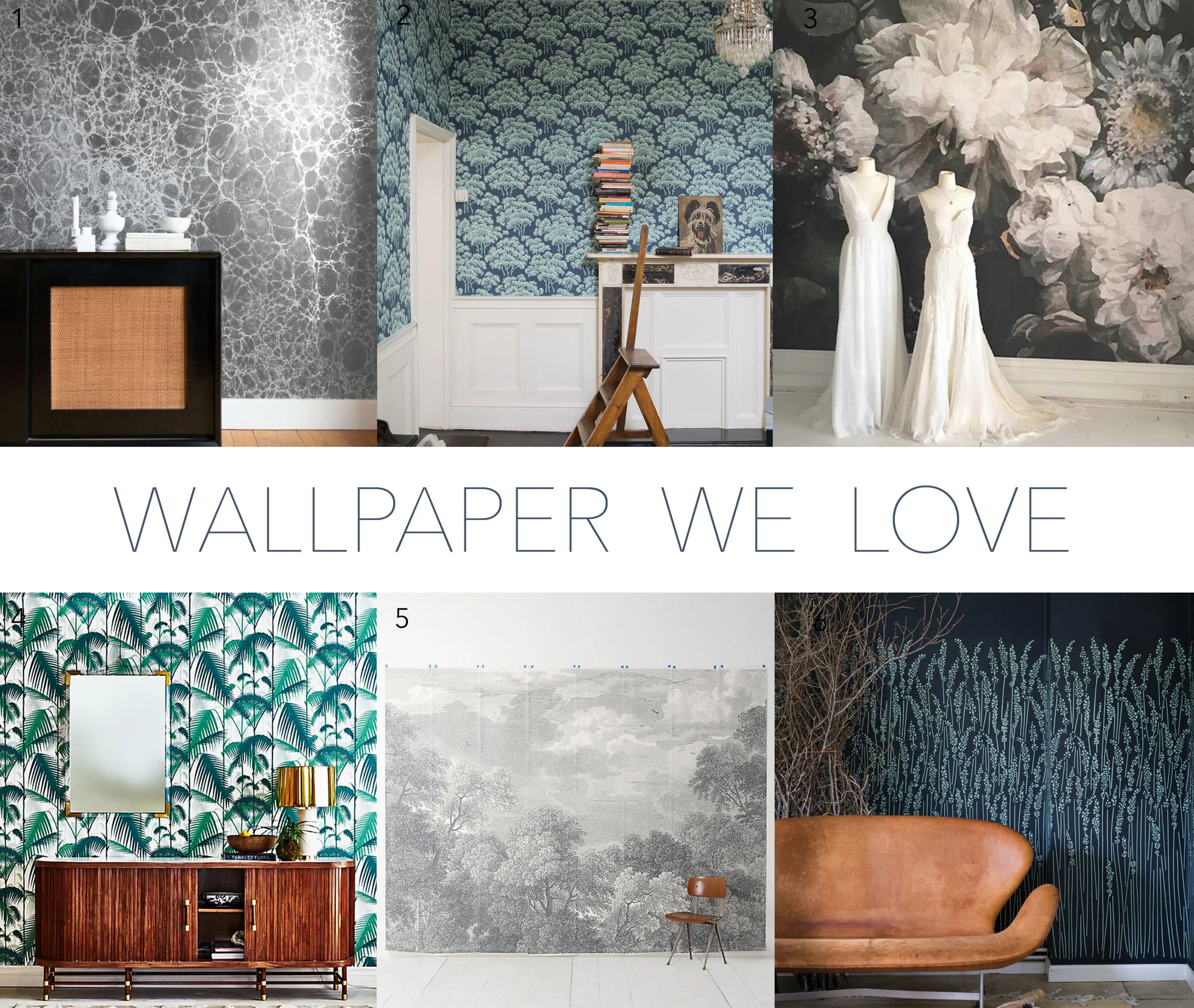 WALLPAPER WE LOVE.jpg