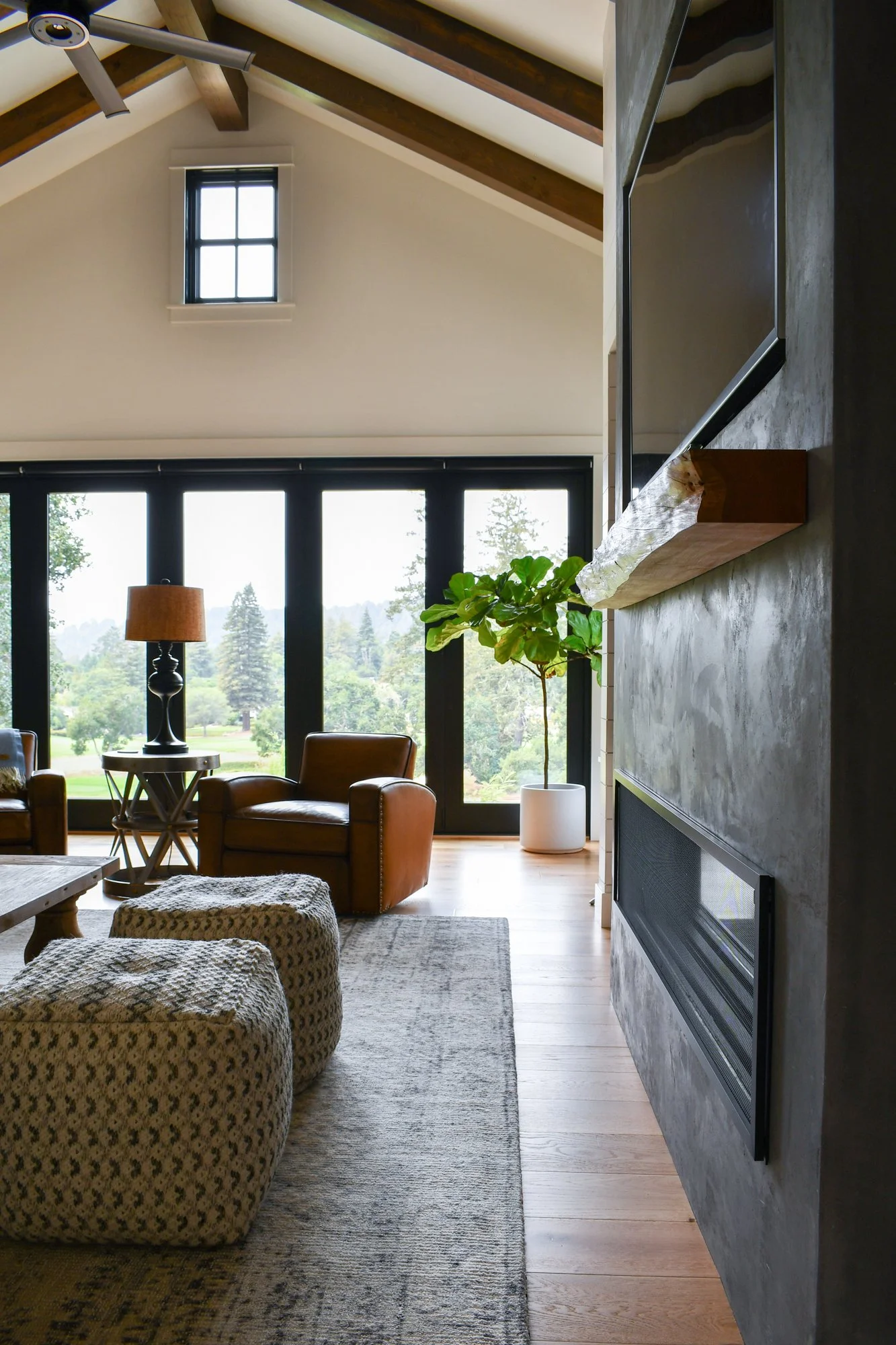 turowski-living-room-3.jpg
