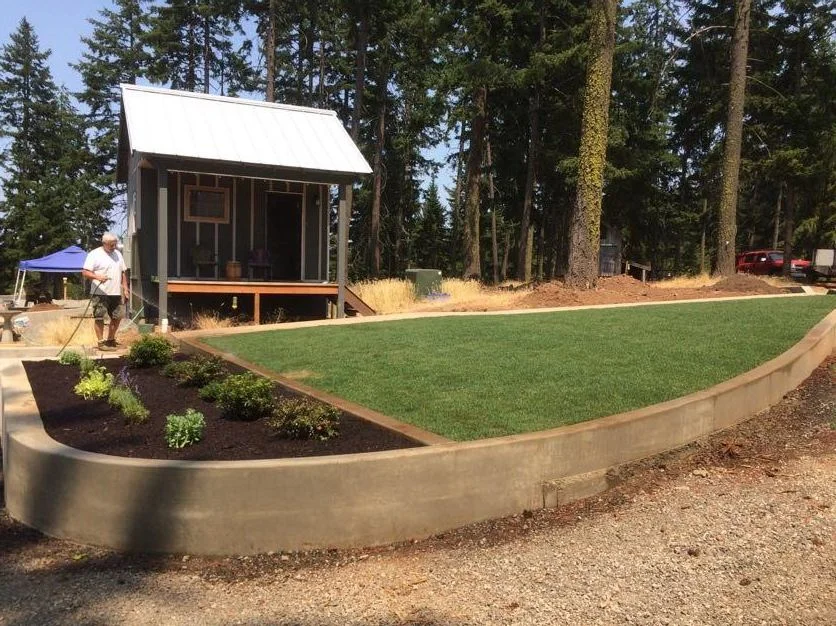 Cooper sod and plants.JPG