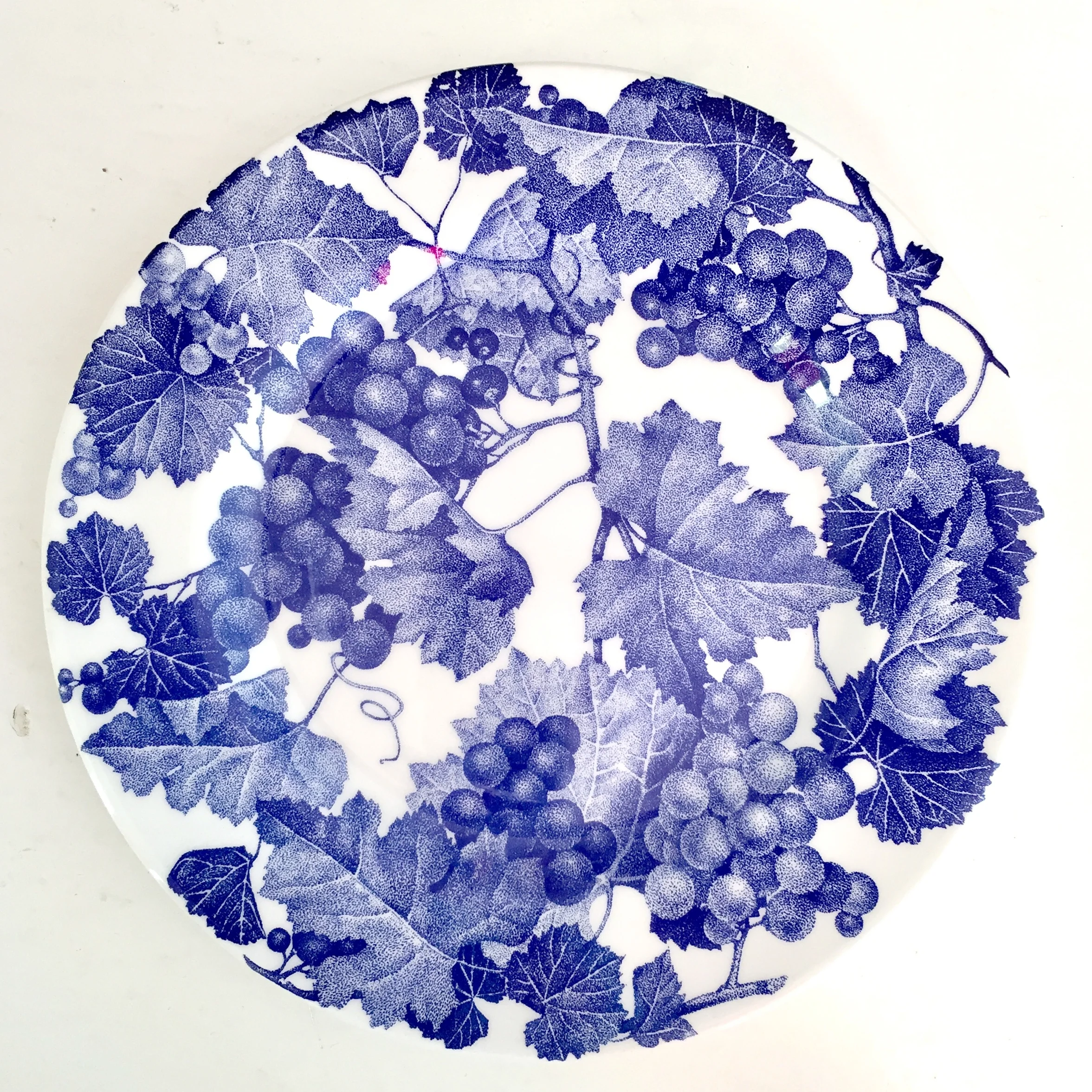 BLUE & WHITE WINDSOR BROWNE  ITALIAN SALAD / DESSERT PLATES