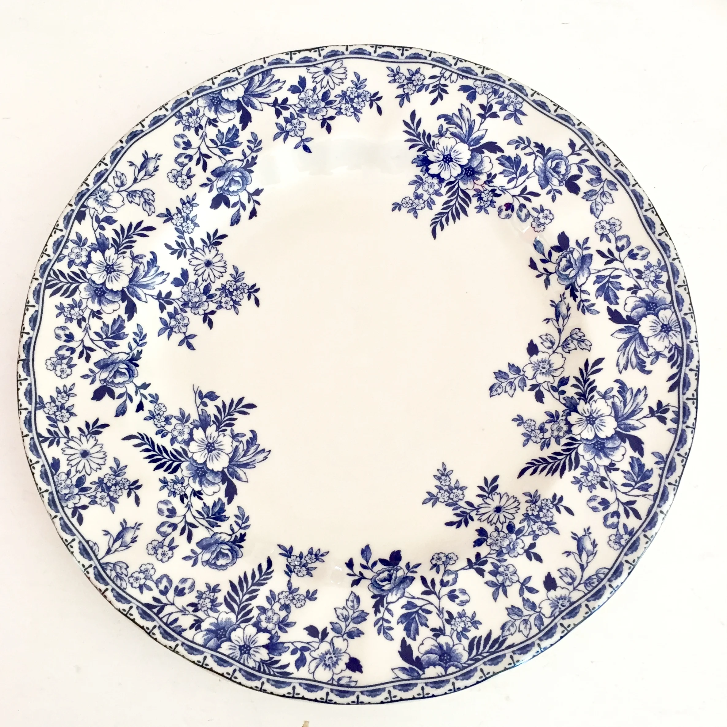 DEVON COTTAGE DINNER  PLATES