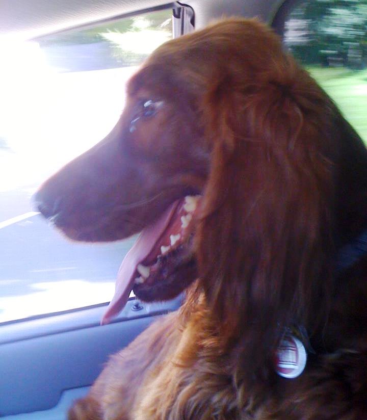 Brody- Human Resources / Positive Vibe Technician