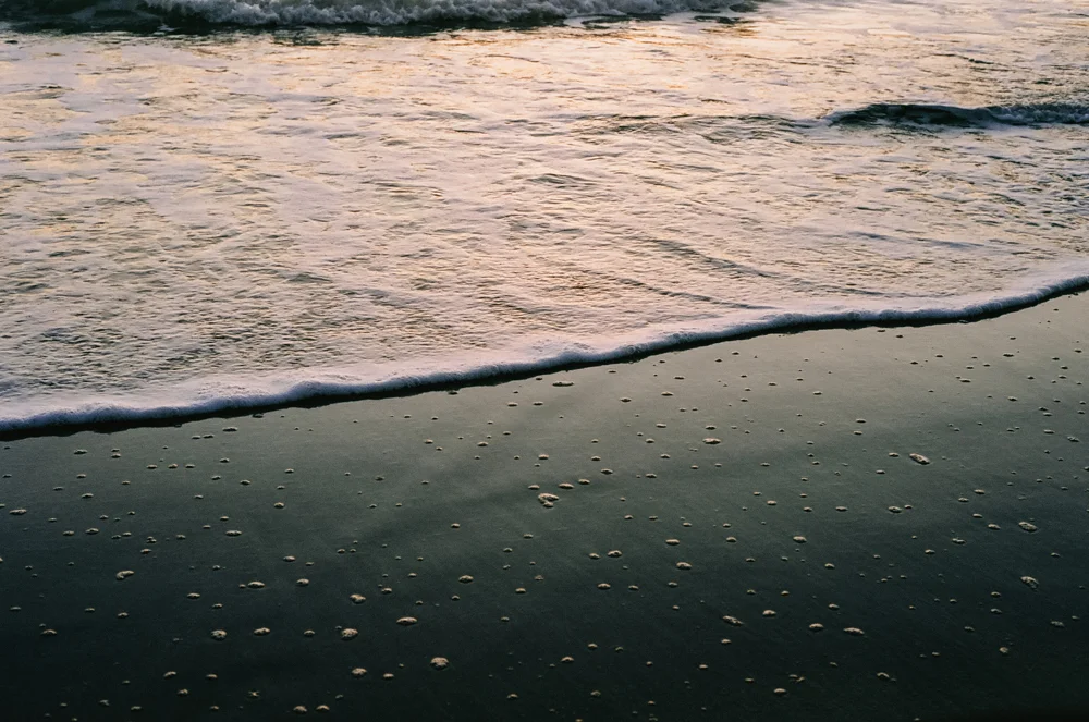 HOP-Ektar100-NewportJan19-9.jpg