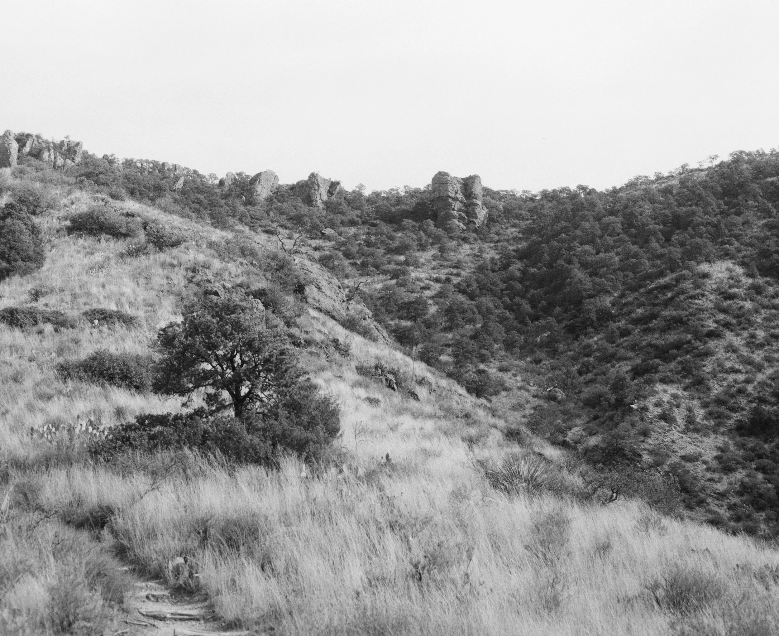 0655_0003.jpg