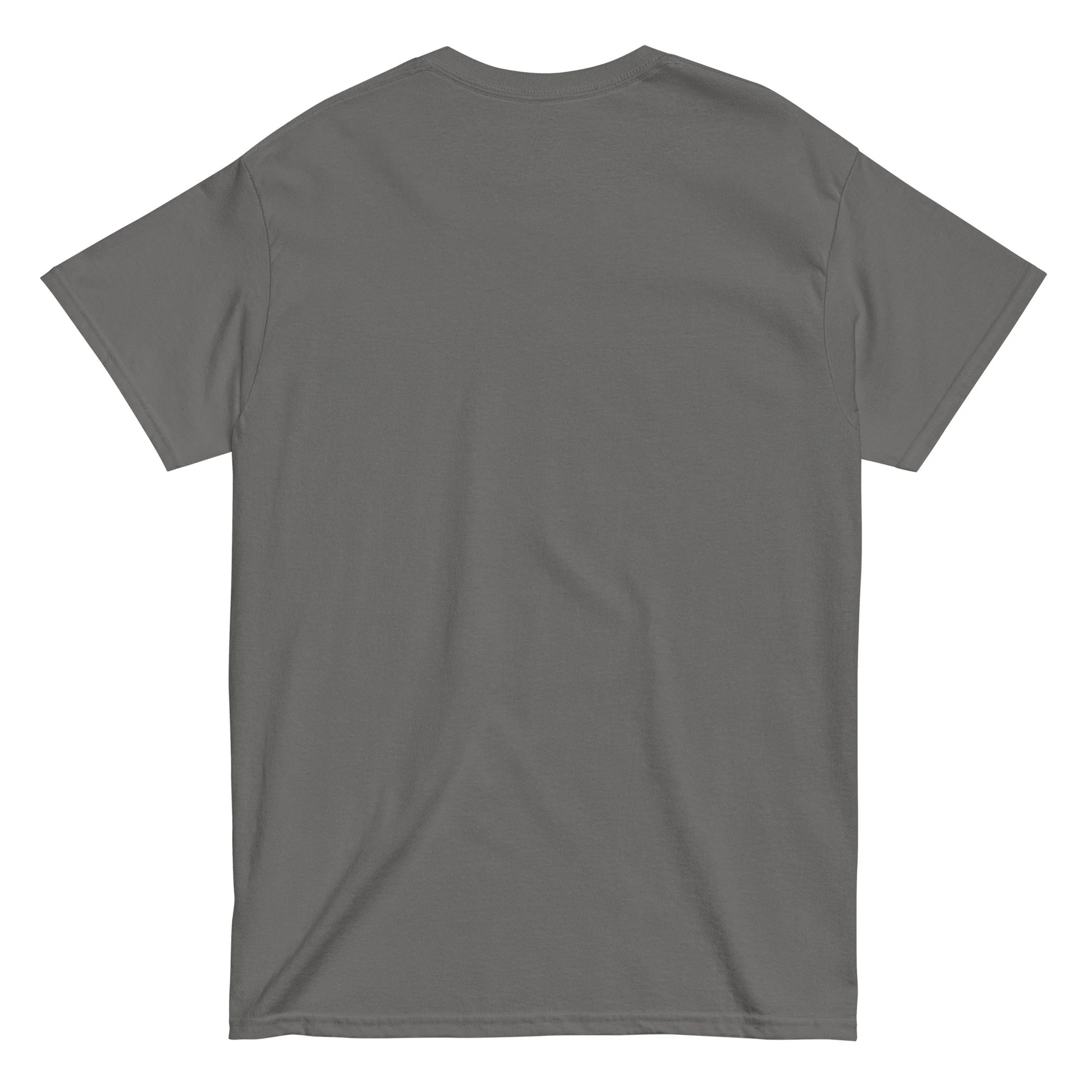 unisex-classic-tee-charcoal-back-677d4ccc80c4d.jpg