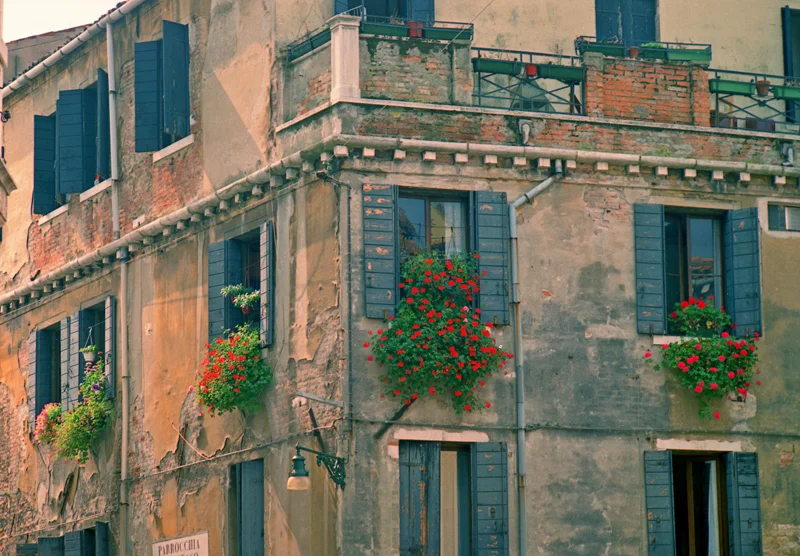 gm_shutters-and-red-flowers.jpg