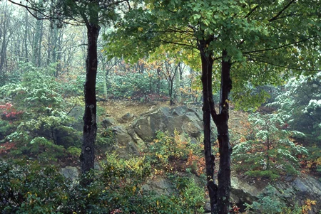 aa_skyline-tryptych.jpg