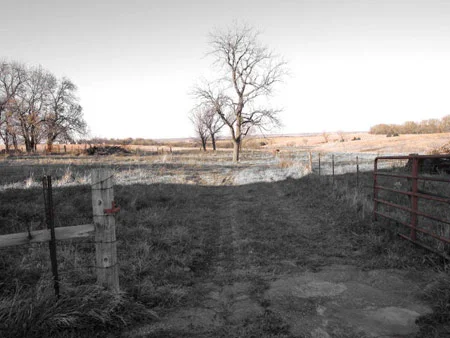 cb_pasture.jpg