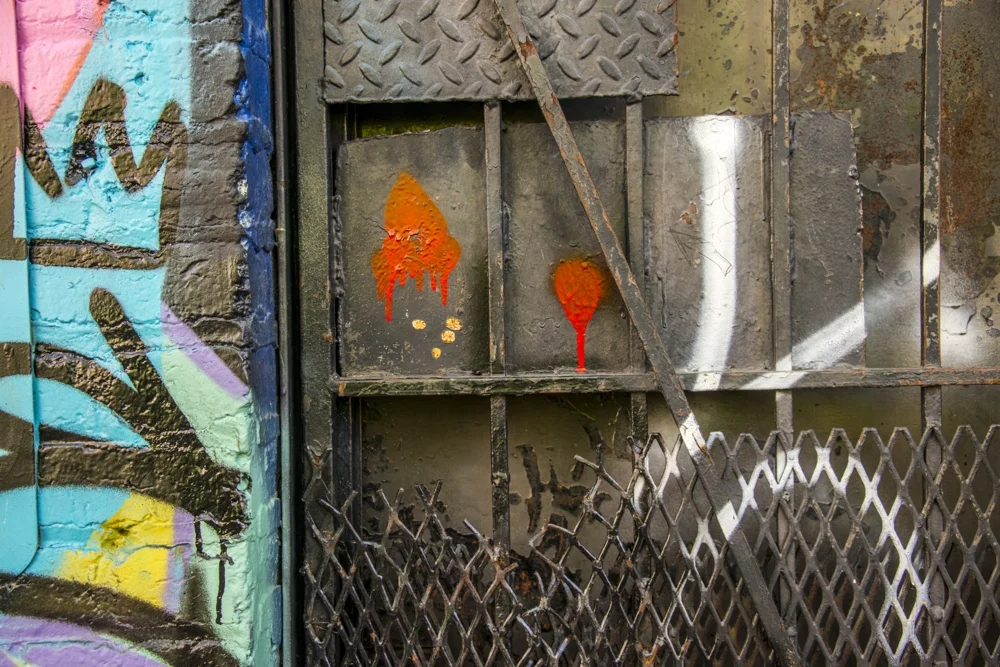 Charlie-Gaynor-alley security.jpg