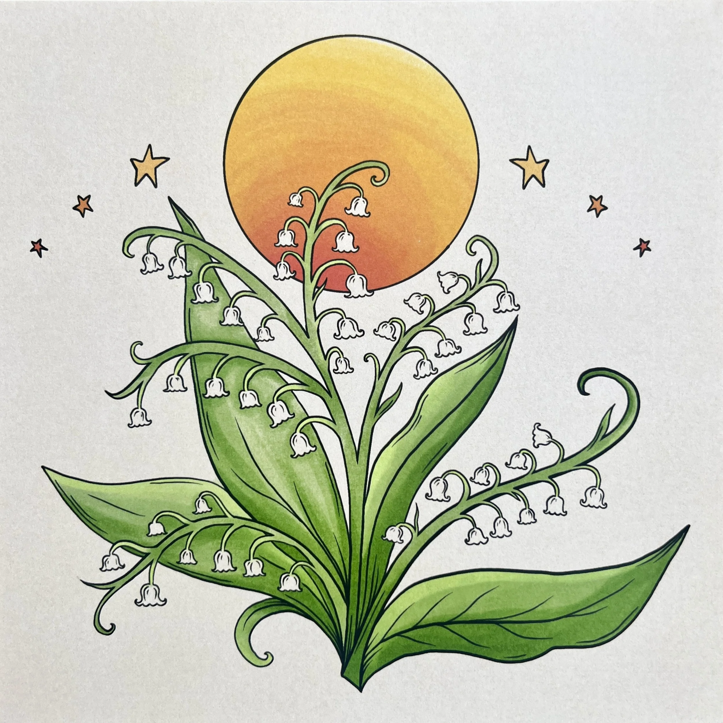 an art print of an illustration of lily of the valley flowers