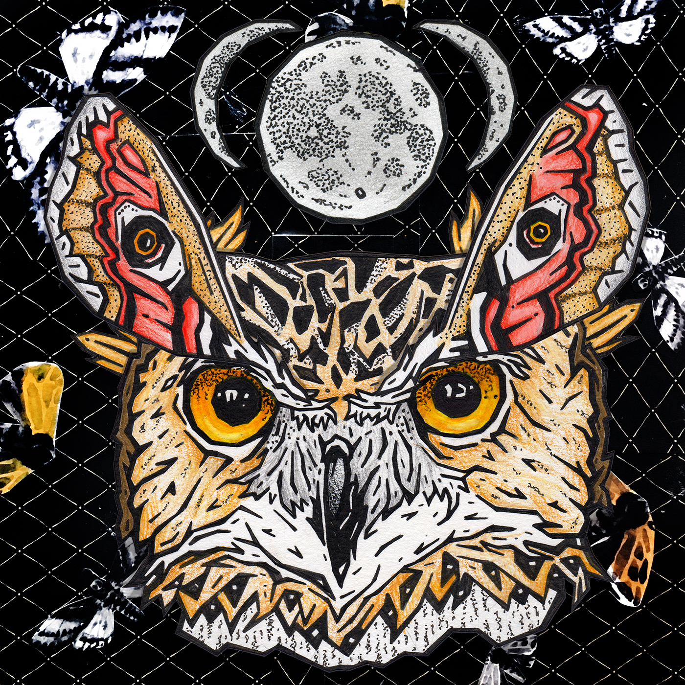 dna owl(1).jpeg