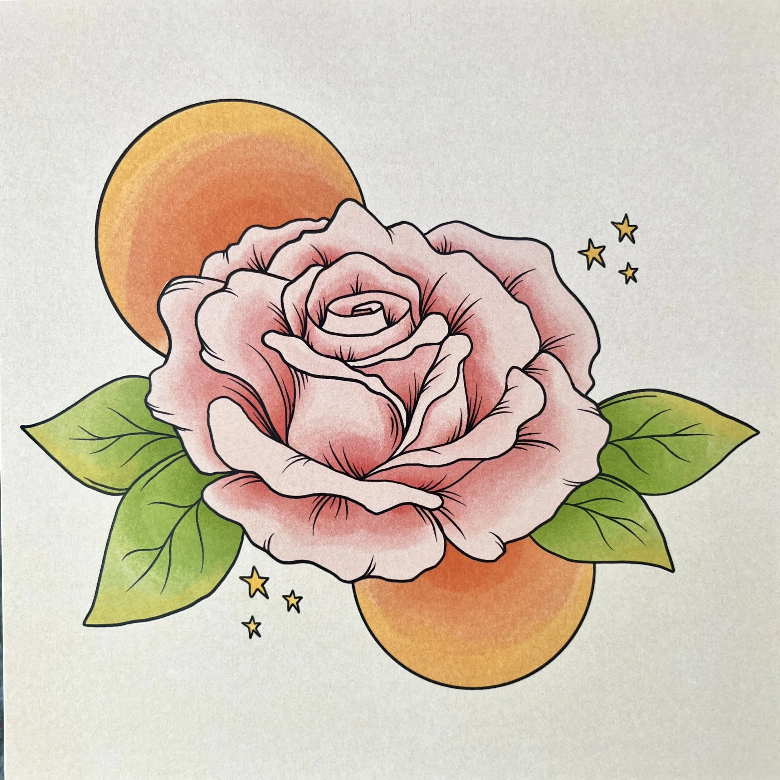 an art print of an illustration of a pink rose