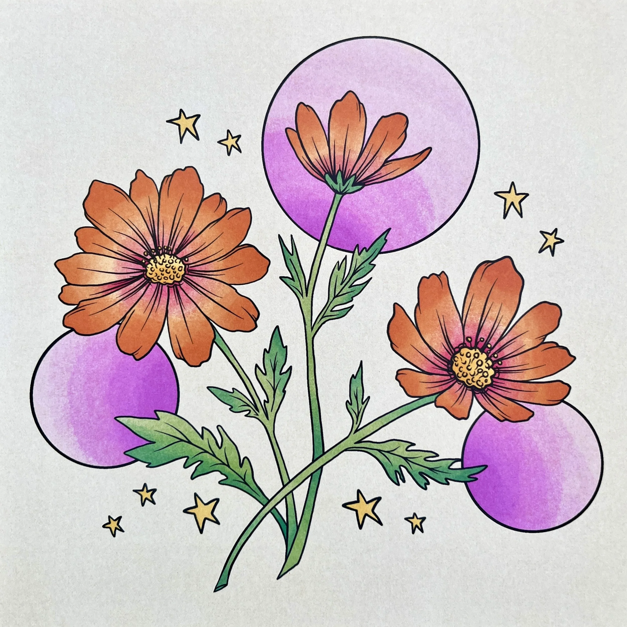 an art print of an illustration of cosmos