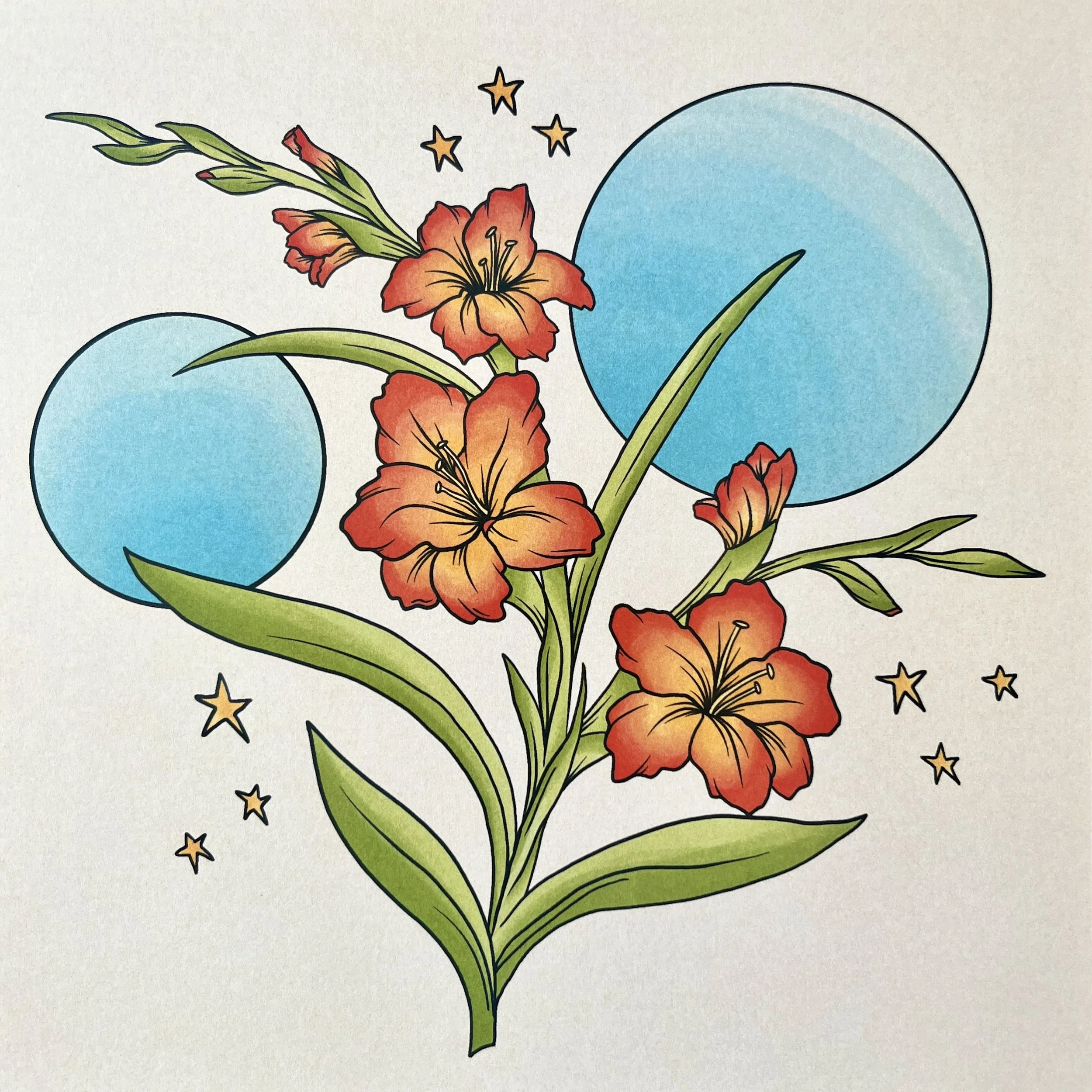 an art print of an illustration of poppies