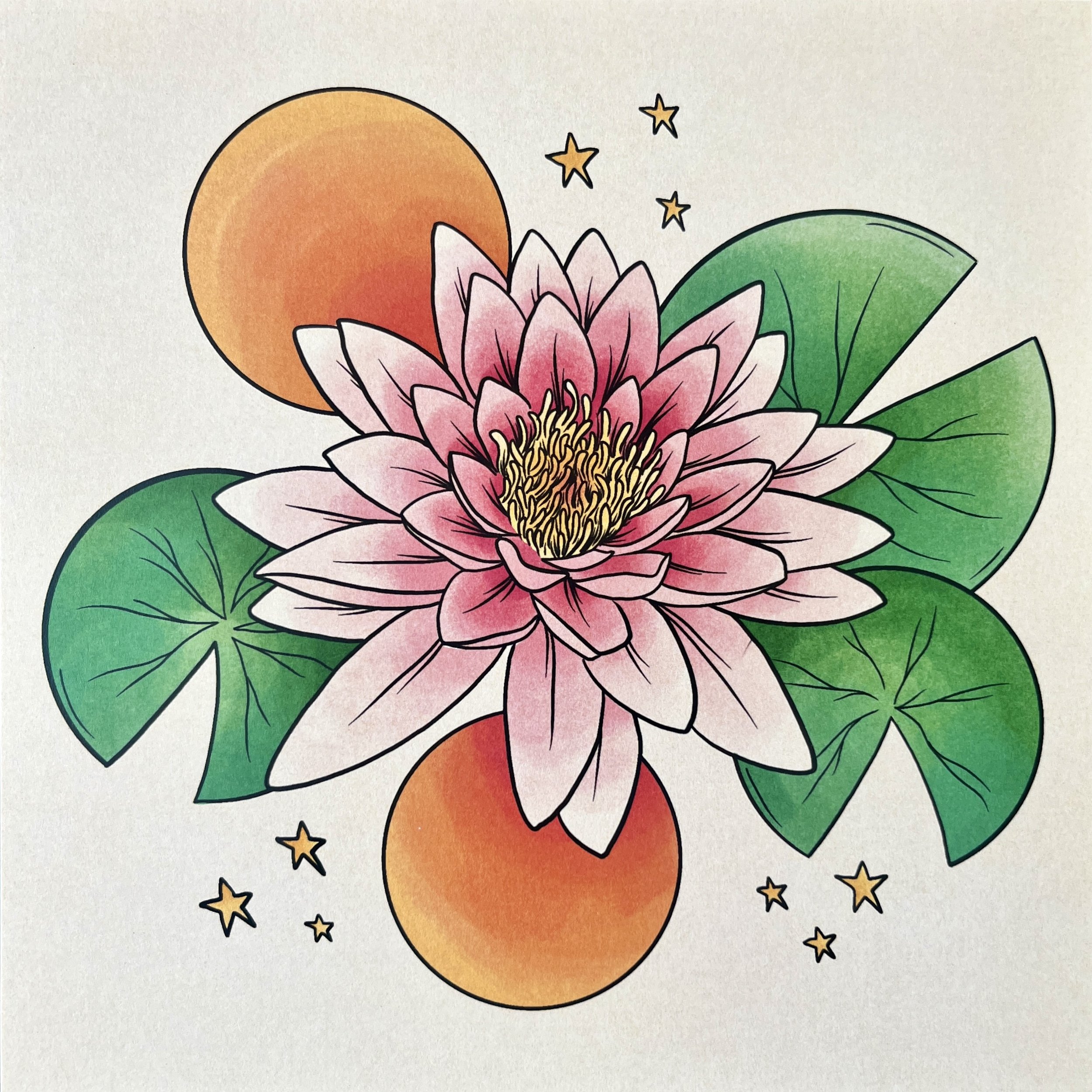 an art print of an illustration of a water lily