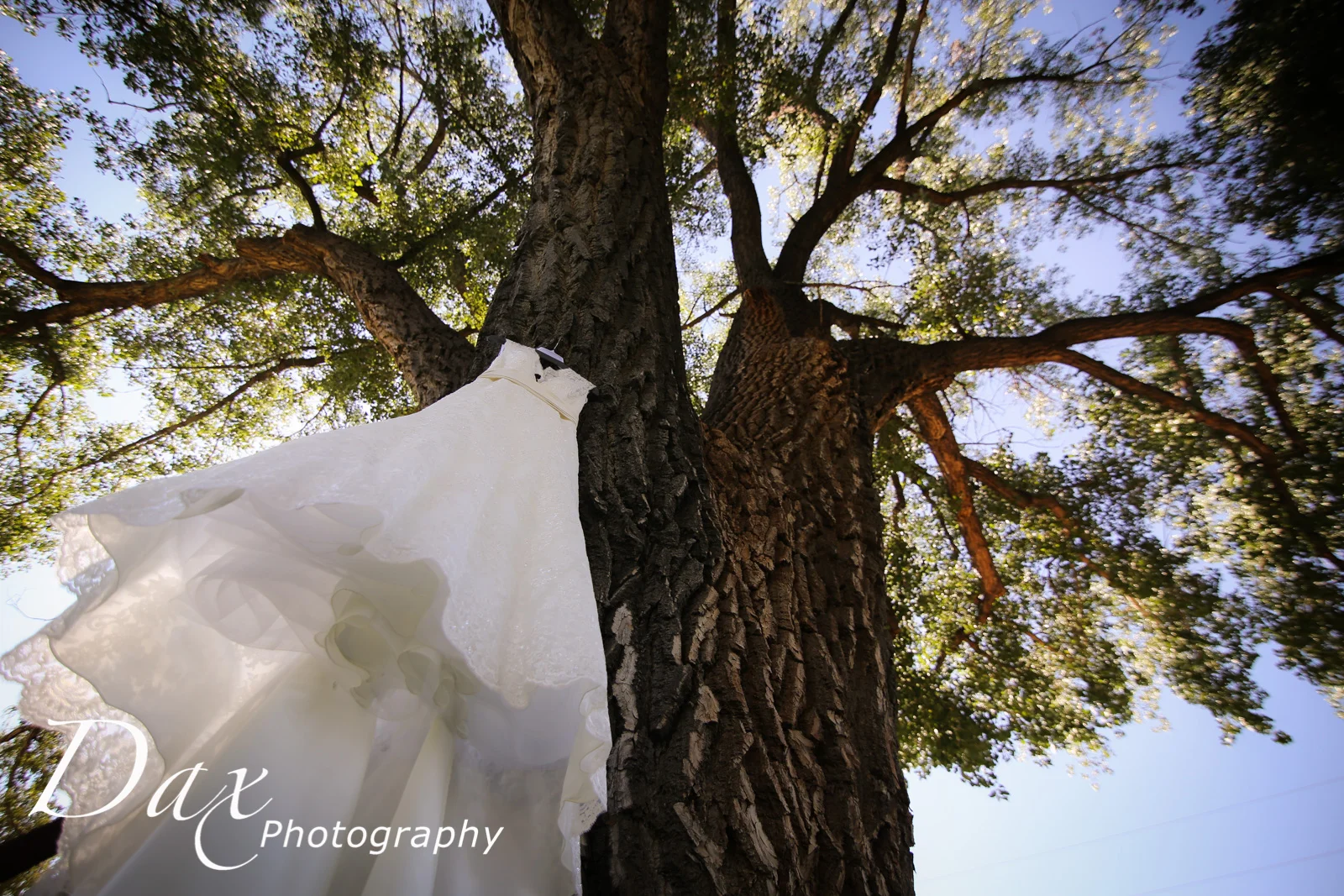 Bride Planning Tips From A Wedding Expert: Tipping Vendors
