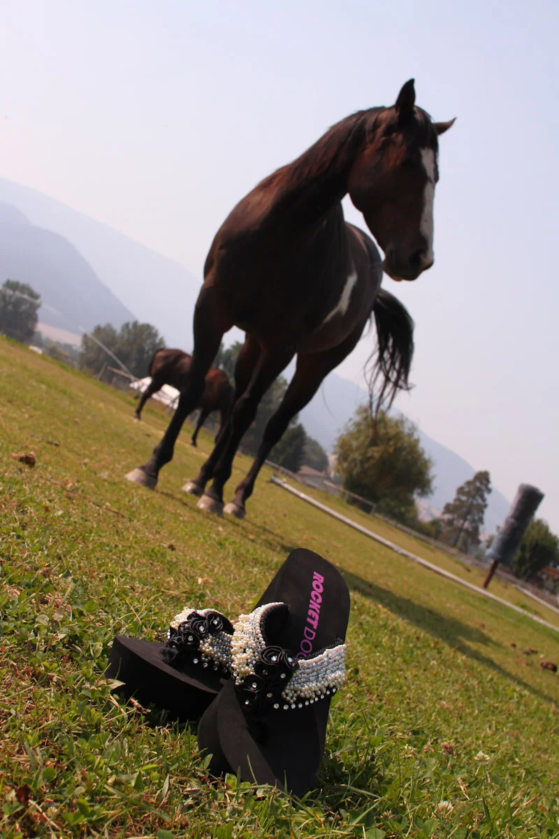 Wedding at Dunrovin Ranch in Lolo Montana-Mel and Chris