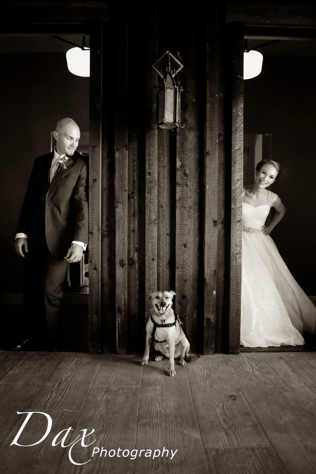 Bride Planning Tips From A Wedding Expert: Pets in the wedding